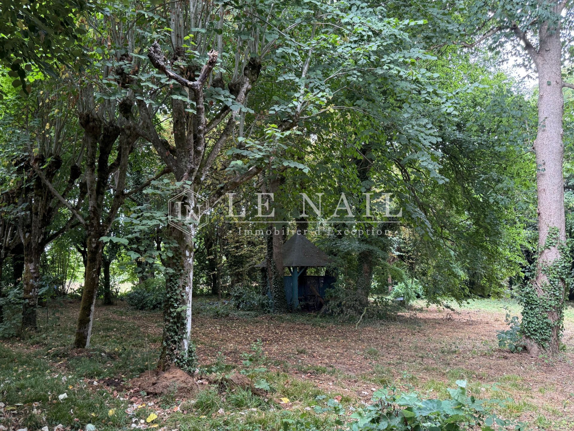 castle 15 rooms for sale on LAVAL (53000)