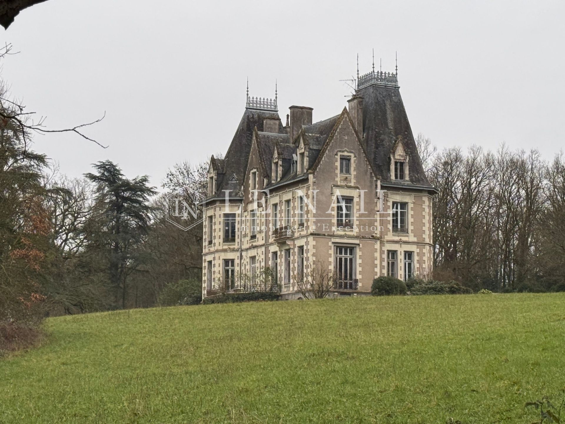 château 19 pièces en vente à ANGERS (49000)
