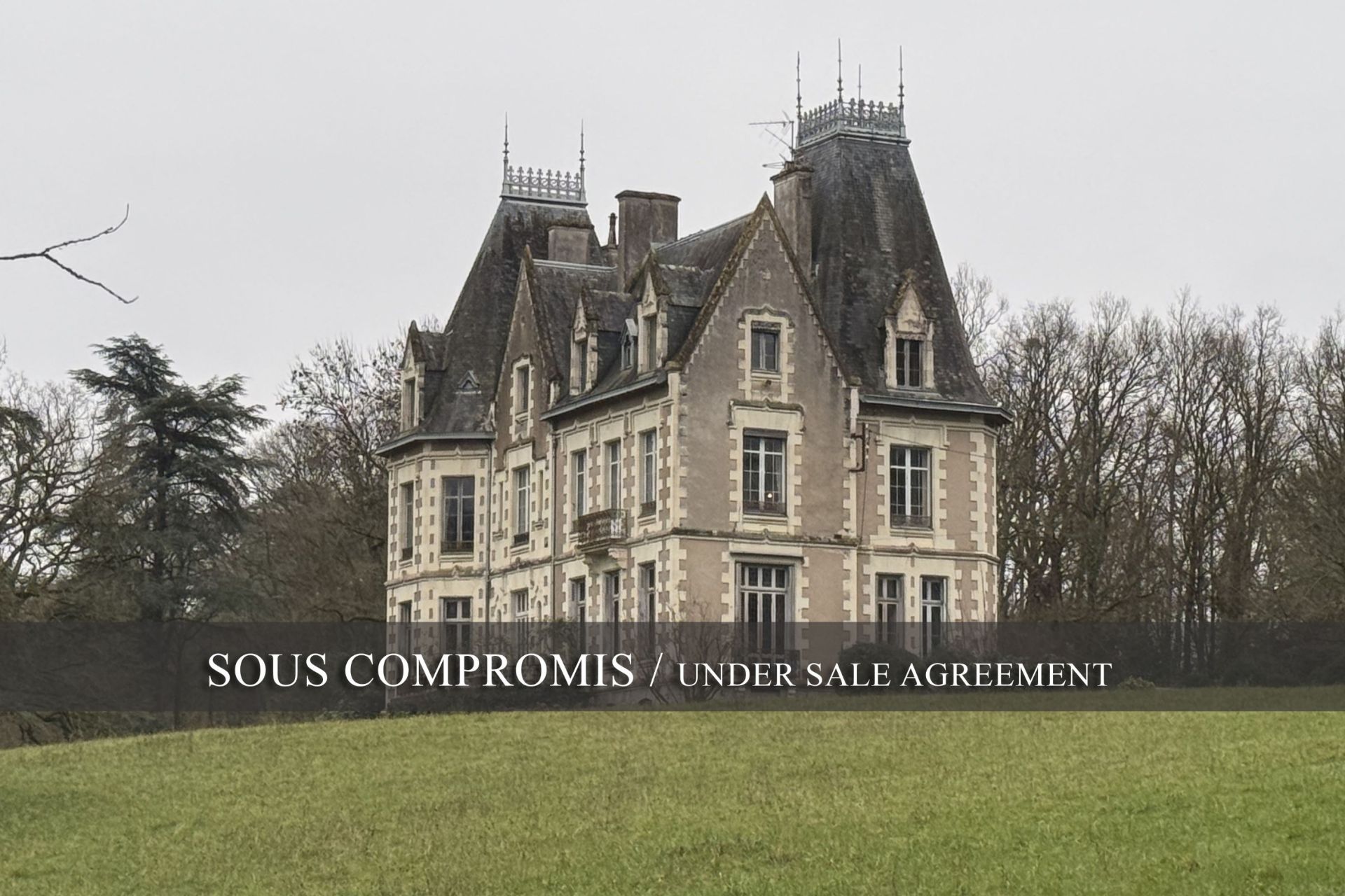 château 19 pièces en vente à ANGERS (49000)