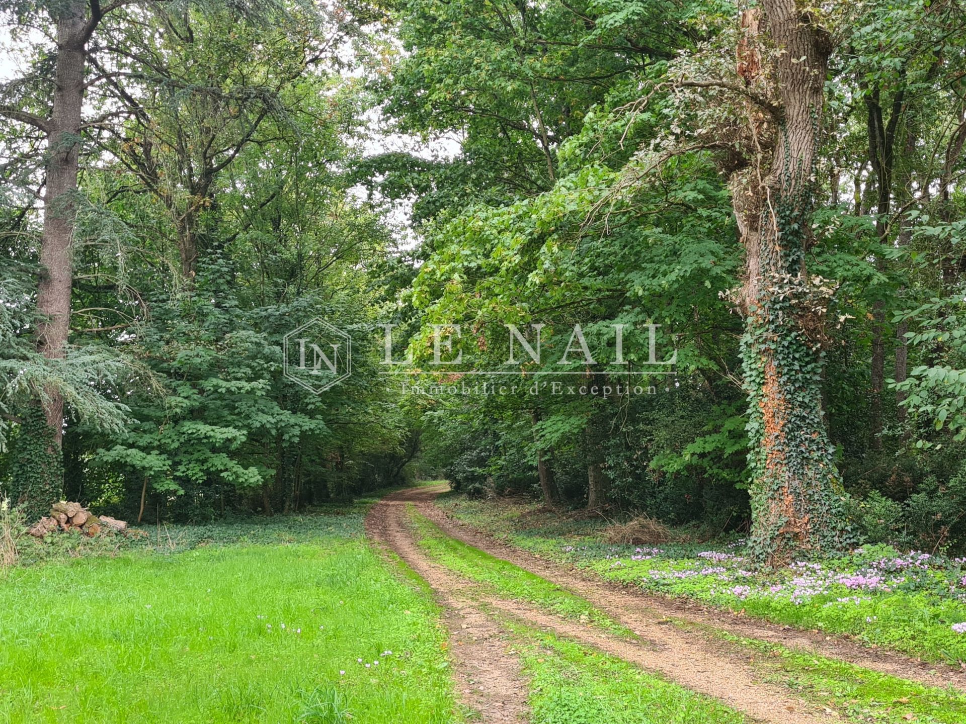 château 19 pièces en vente à ANGERS (49000)