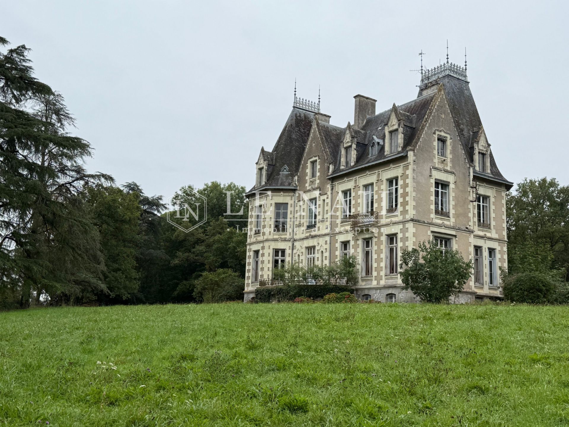 château 19 pièces en vente à ANGERS (49000)