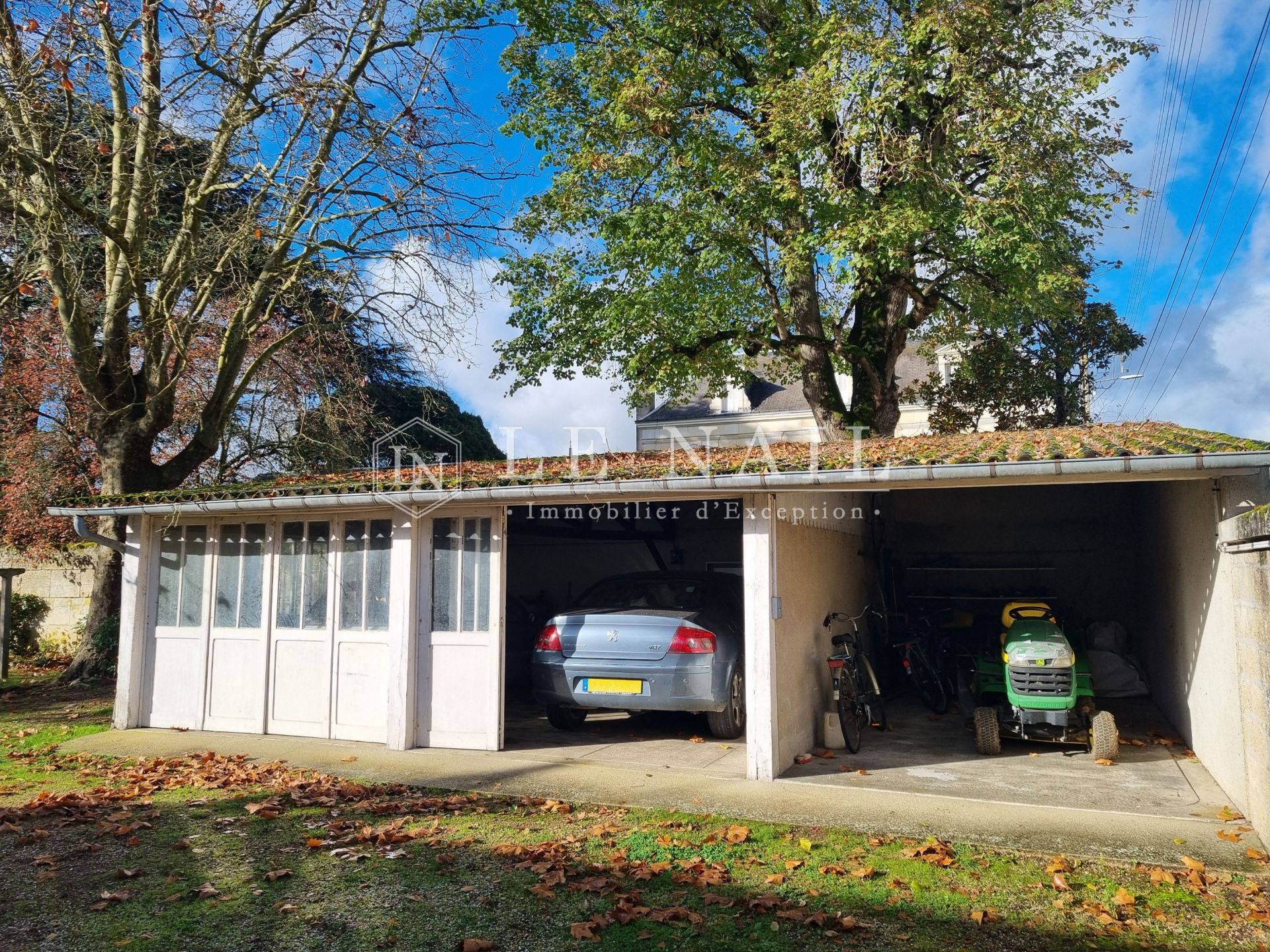 mansion 9 rooms for sale on MONTOIRE SUR LE LOIR (41800)