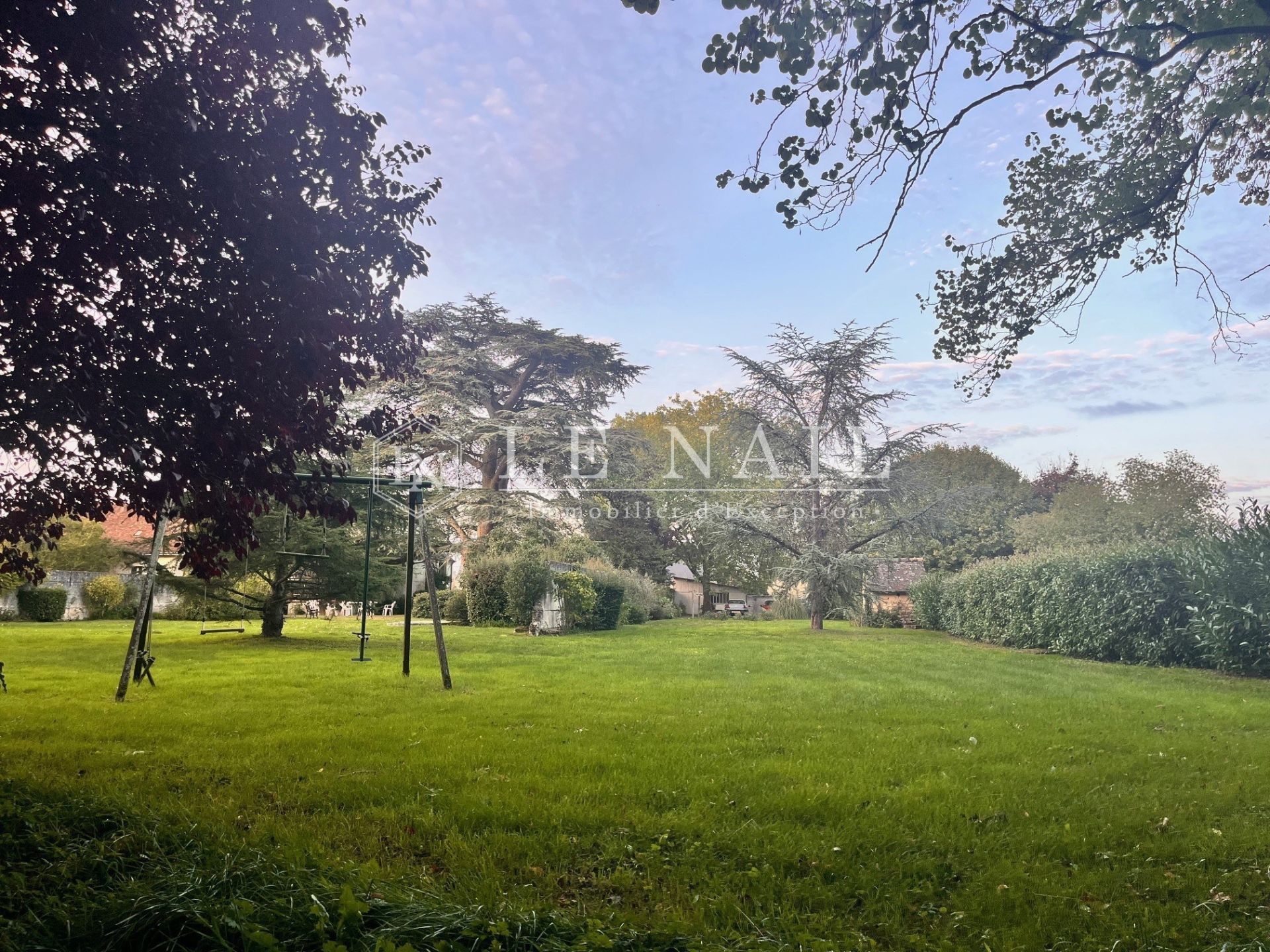 mansion 9 rooms for sale on MONTOIRE SUR LE LOIR (41800)