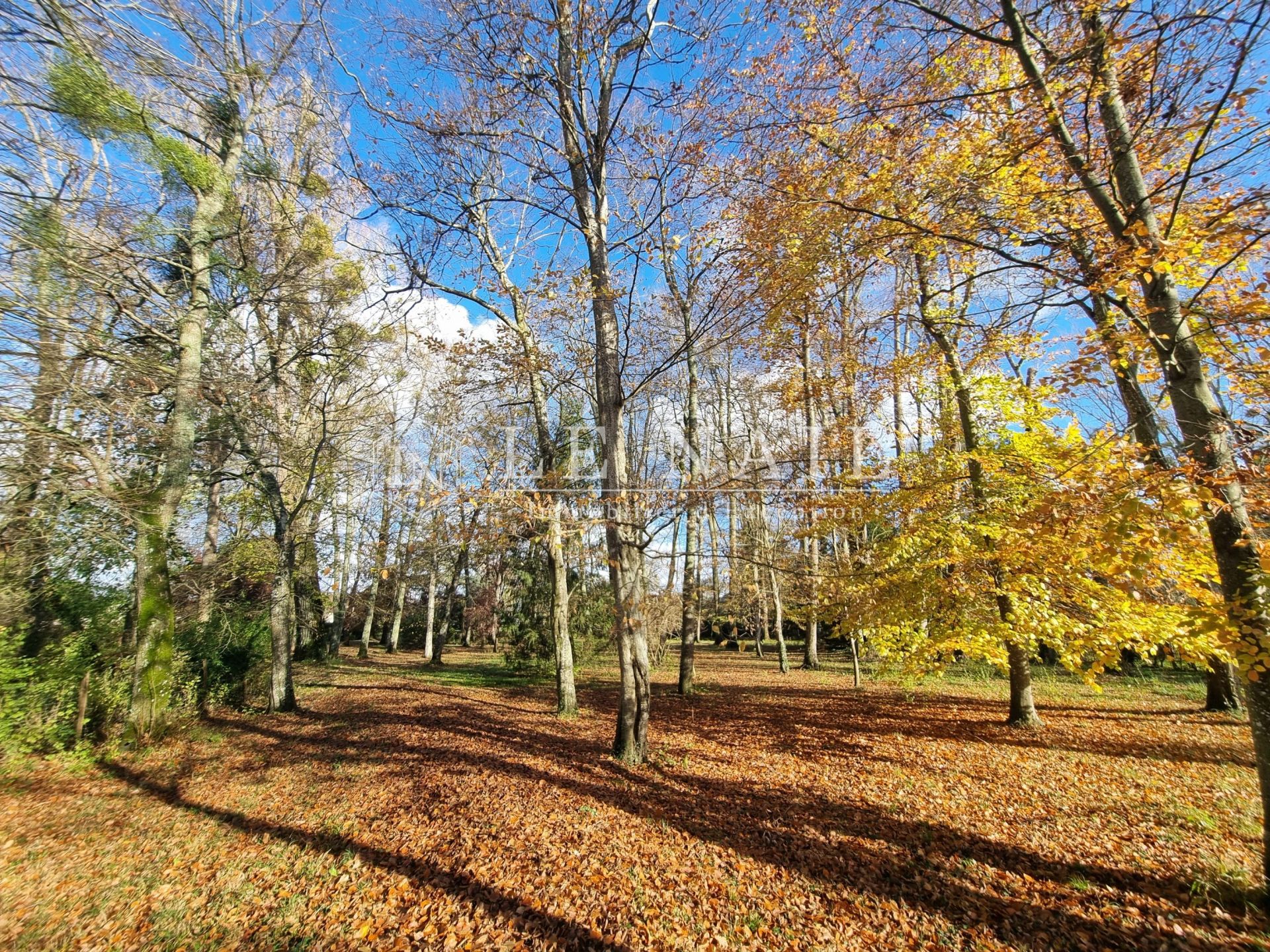 mansion 9 rooms for sale on MONTOIRE SUR LE LOIR (41800)