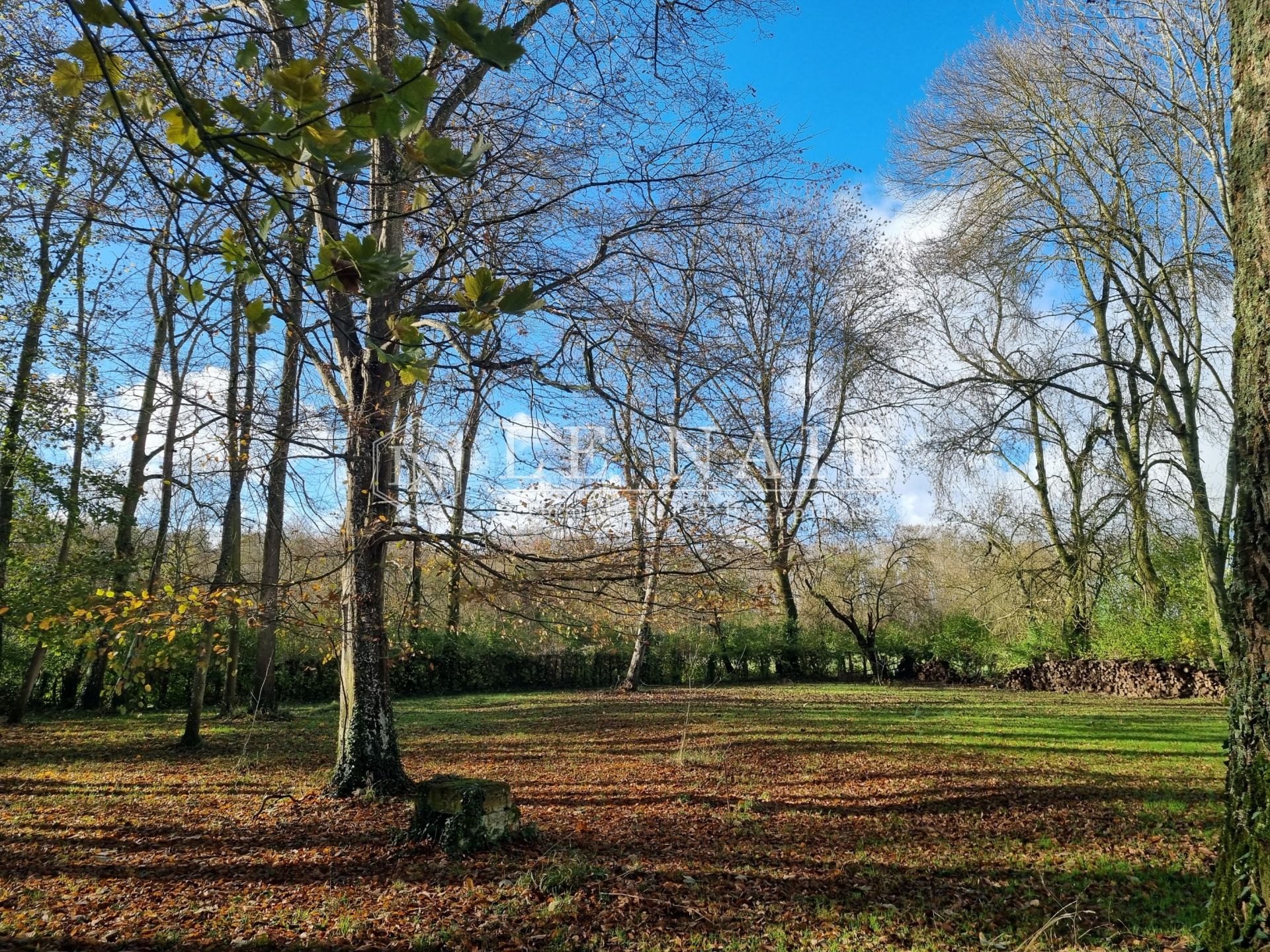 mansion 9 rooms for sale on MONTOIRE SUR LE LOIR (41800)