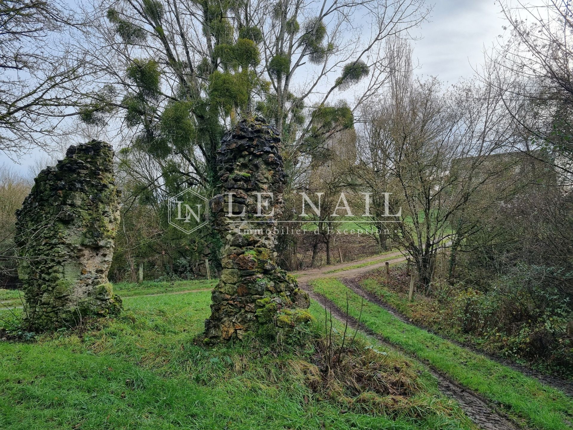 propriété 14 pièces en vente à TOURS (37000)