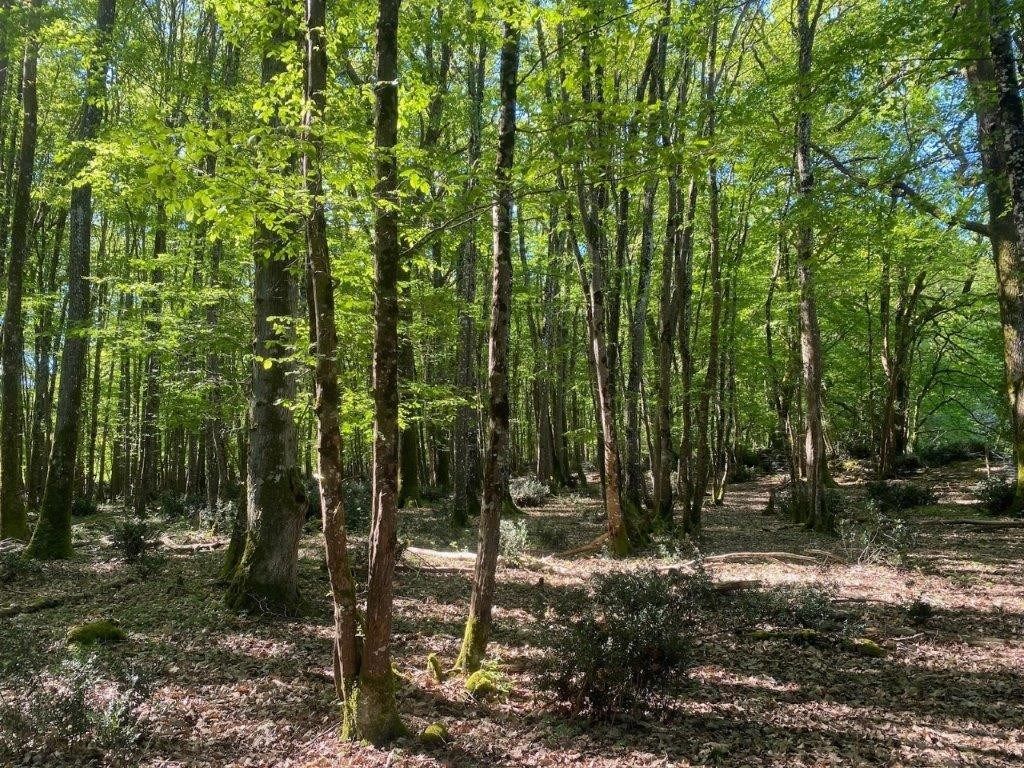 propriété 14 pièces en vente à TOURS (37000)