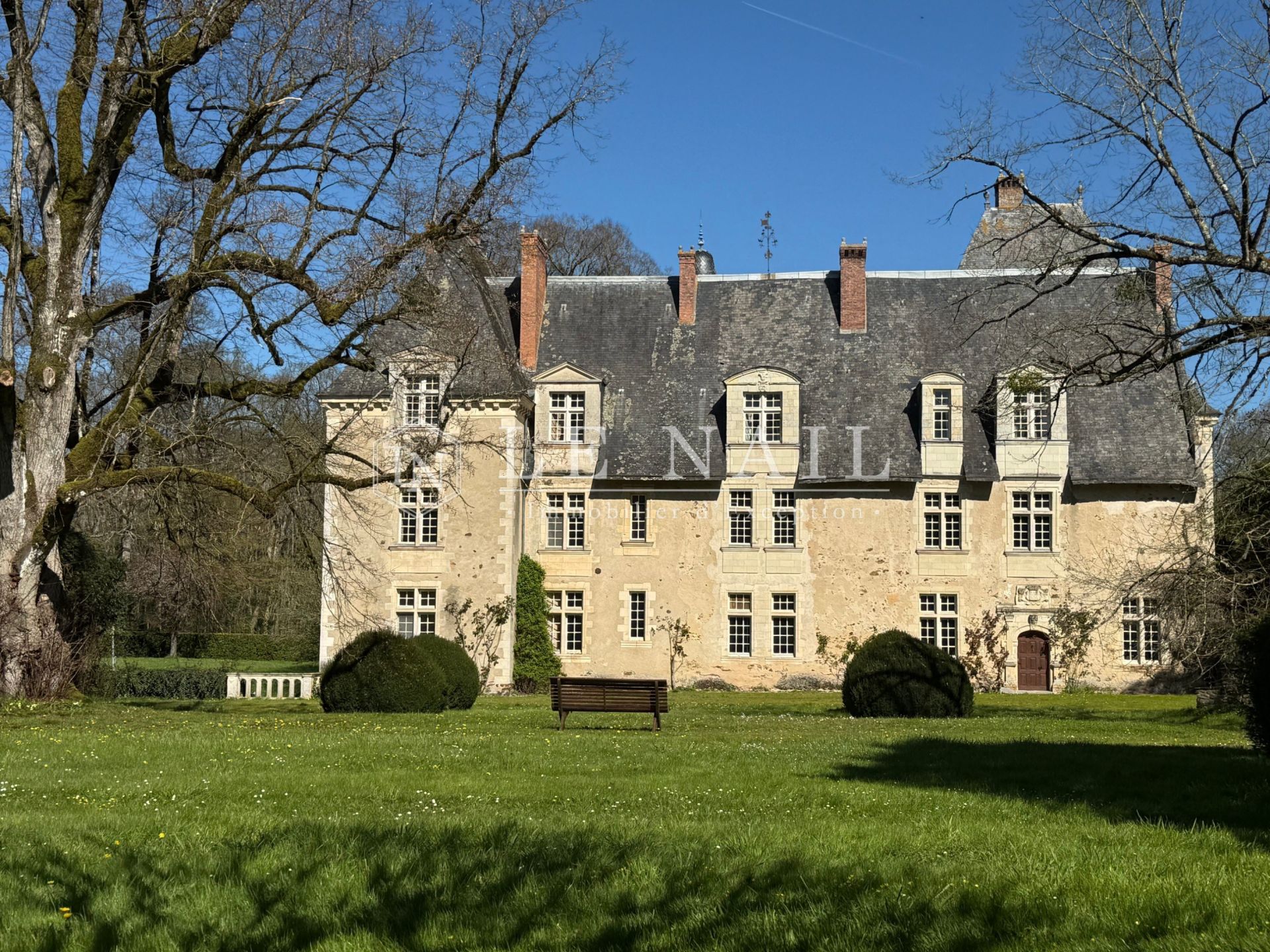 castle 20 rooms for sale on LE LION D ANGERS (49220)