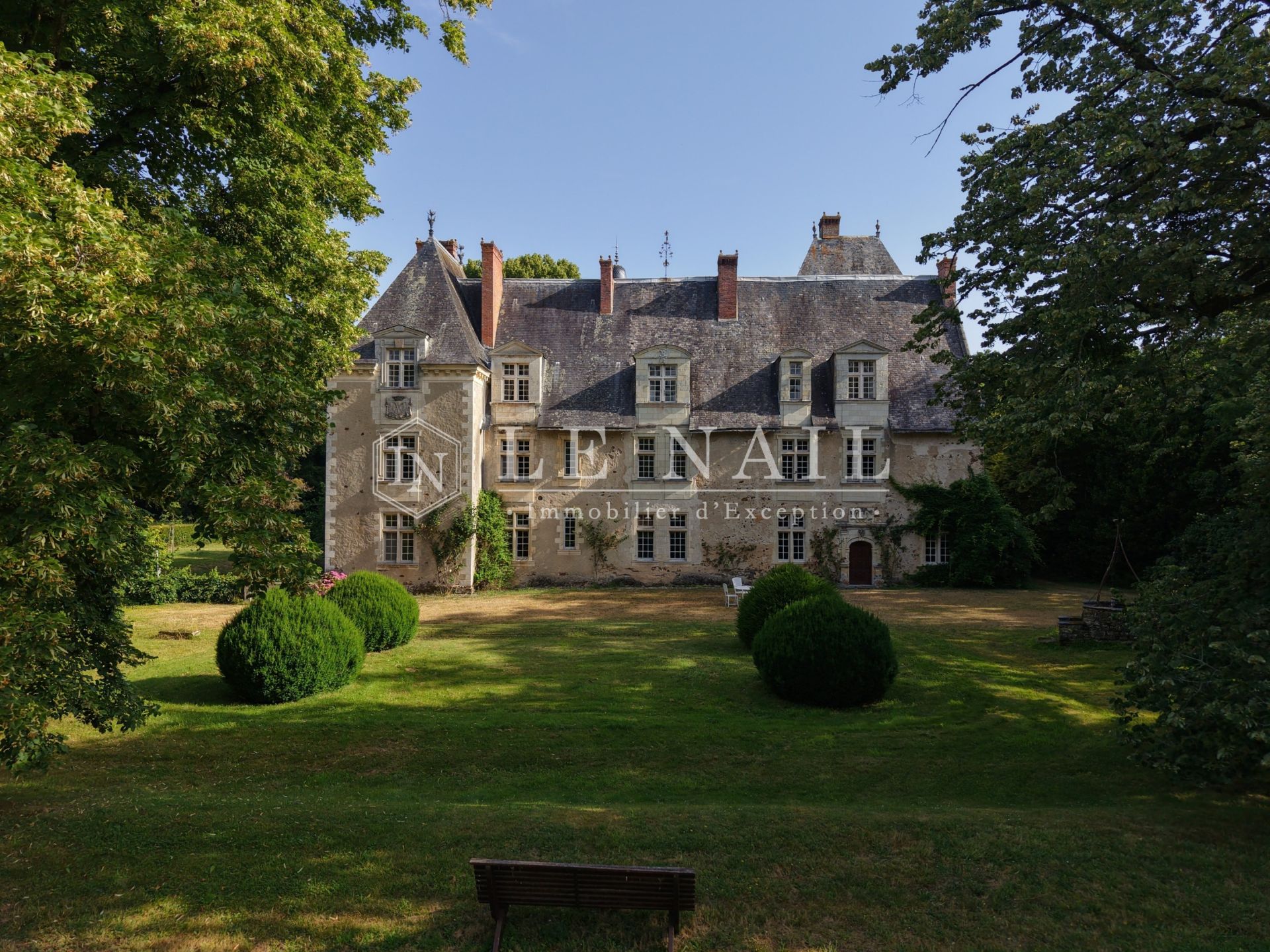 château 20 pièces en vente à LE LION D ANGERS (49220)