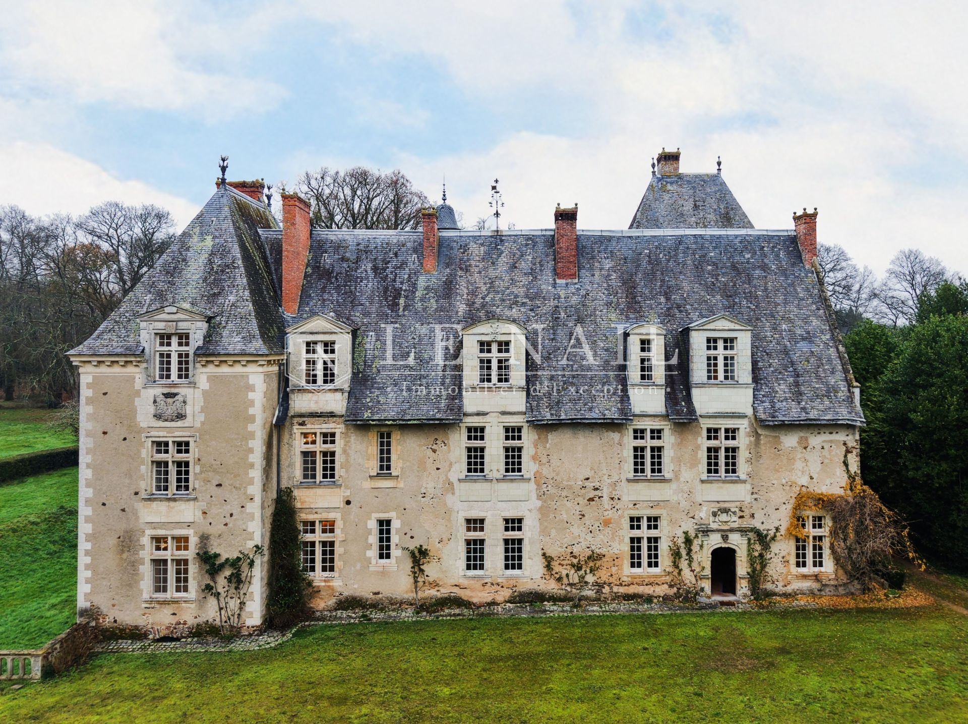 castle 20 rooms for sale on LE LION D ANGERS (49220)