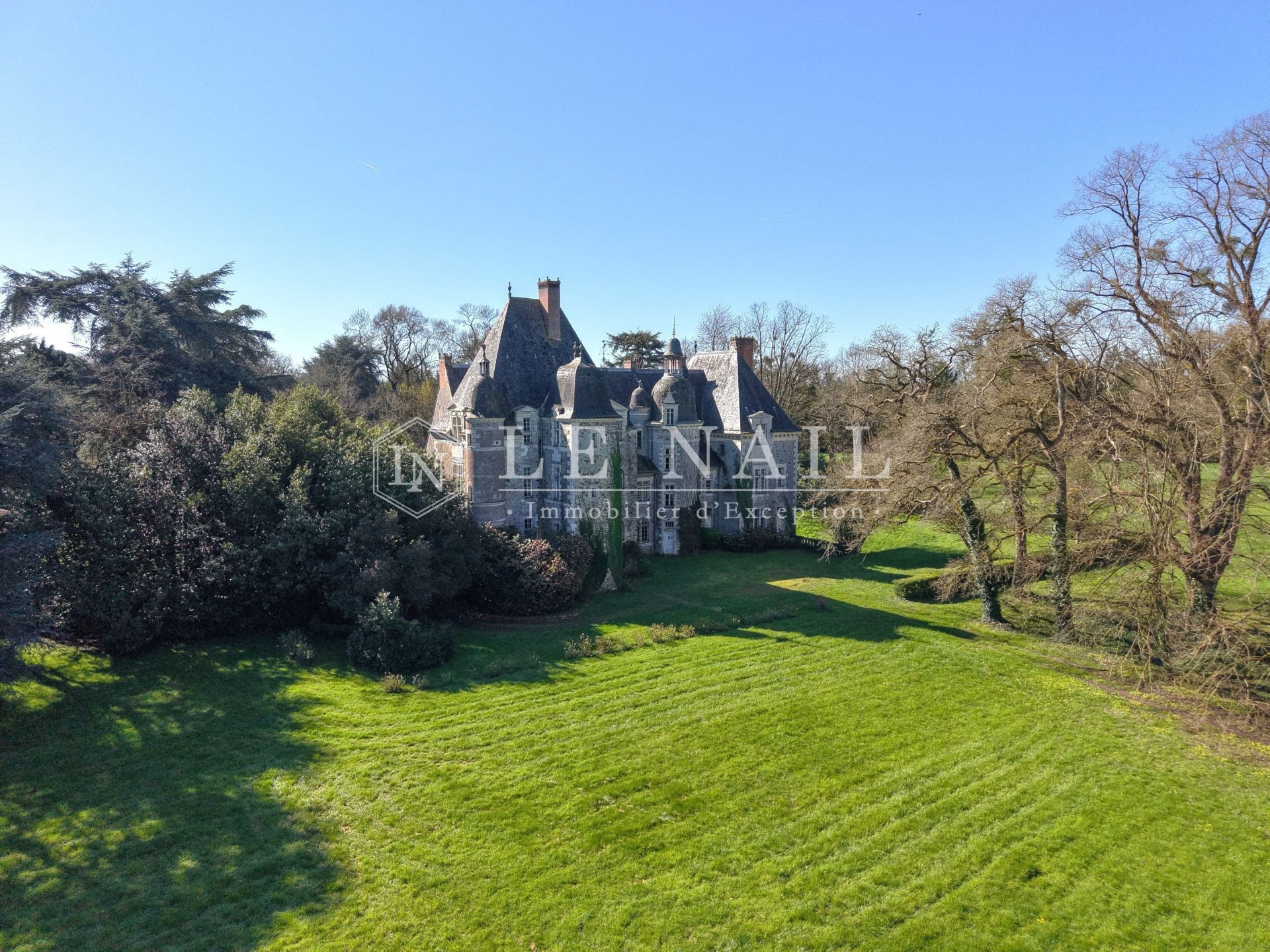 castle 20 rooms for sale on LE LION D ANGERS (49220)