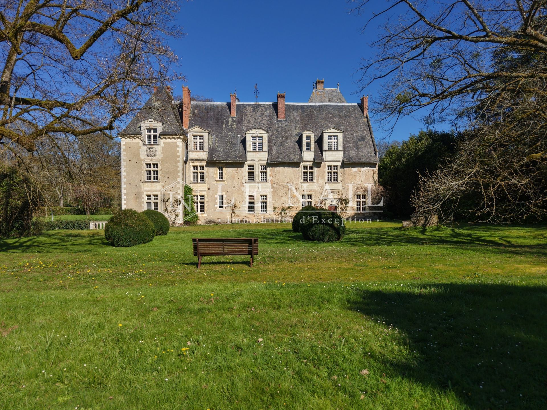 château 20 pièces en vente à LE LION D ANGERS (49220)