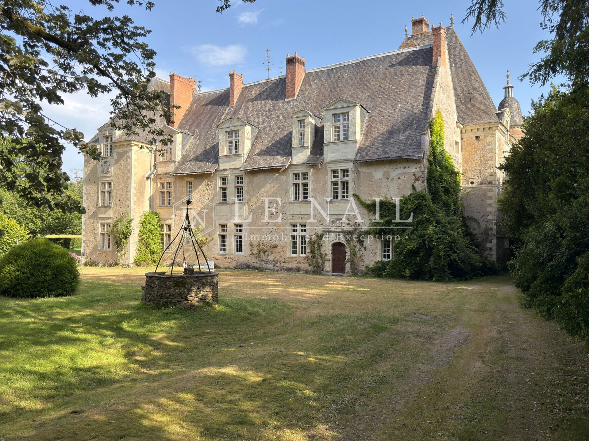 château 20 pièces en vente à LE LION D ANGERS (49220)