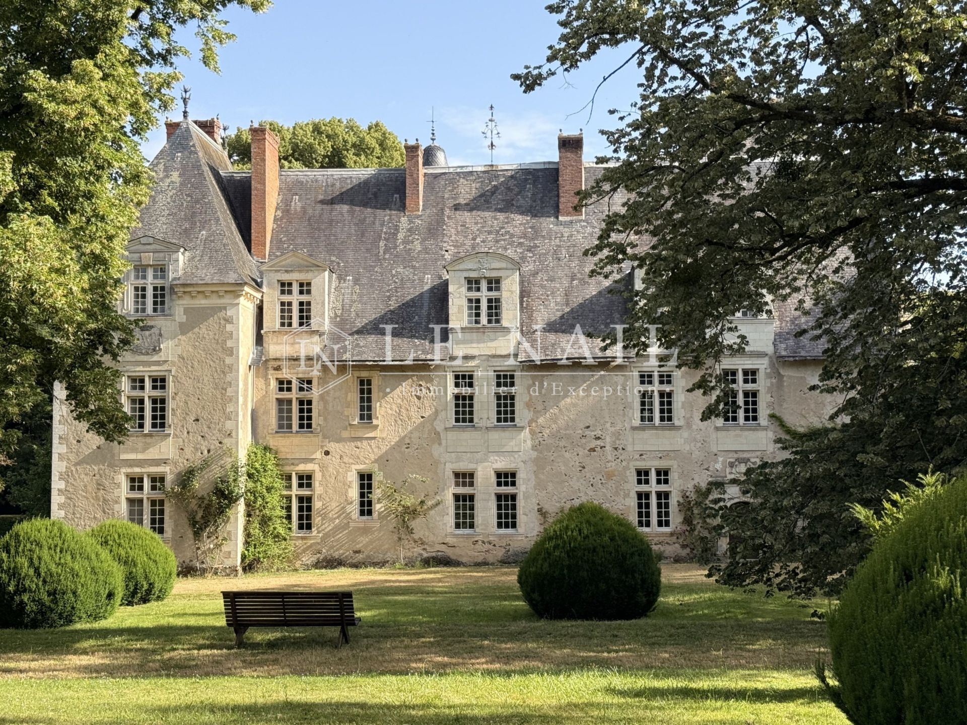 château 20 pièces en vente à LE LION D ANGERS (49220)