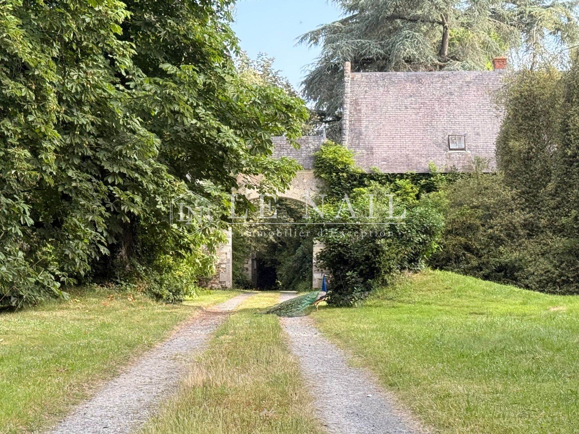 château 20 pièces en vente à LE LION D ANGERS (49220)