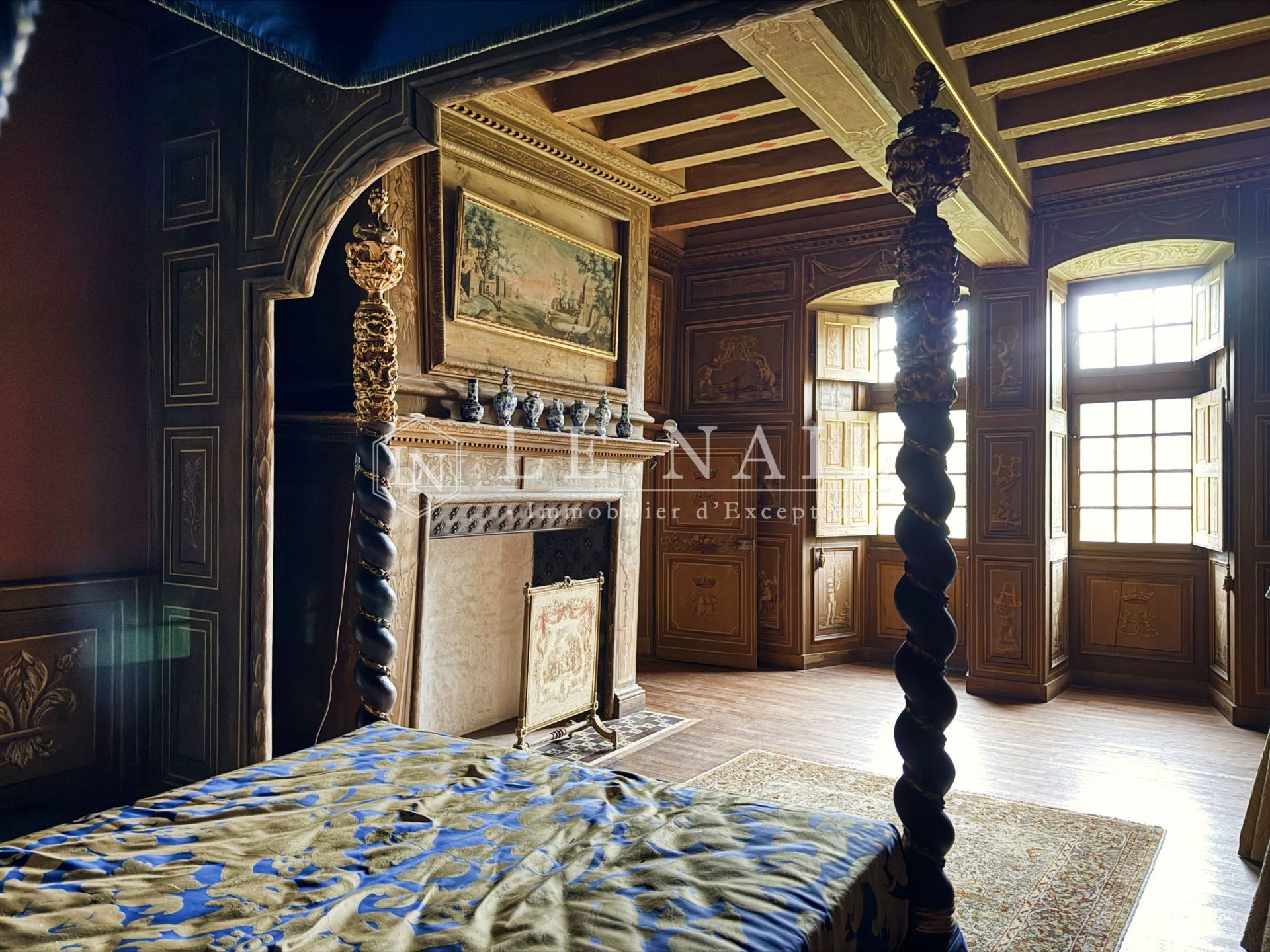 castle 20 rooms for sale on LE LION D ANGERS (49220)