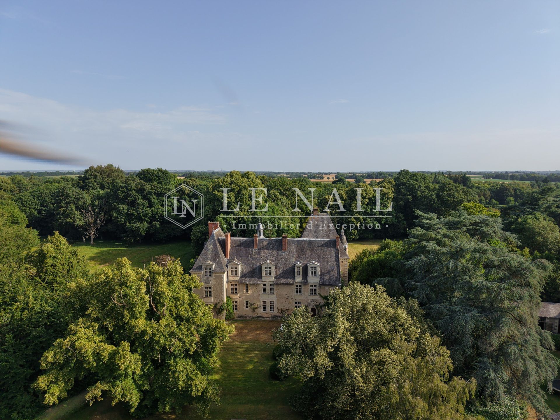 château 20 pièces en vente à LE LION D ANGERS (49220)