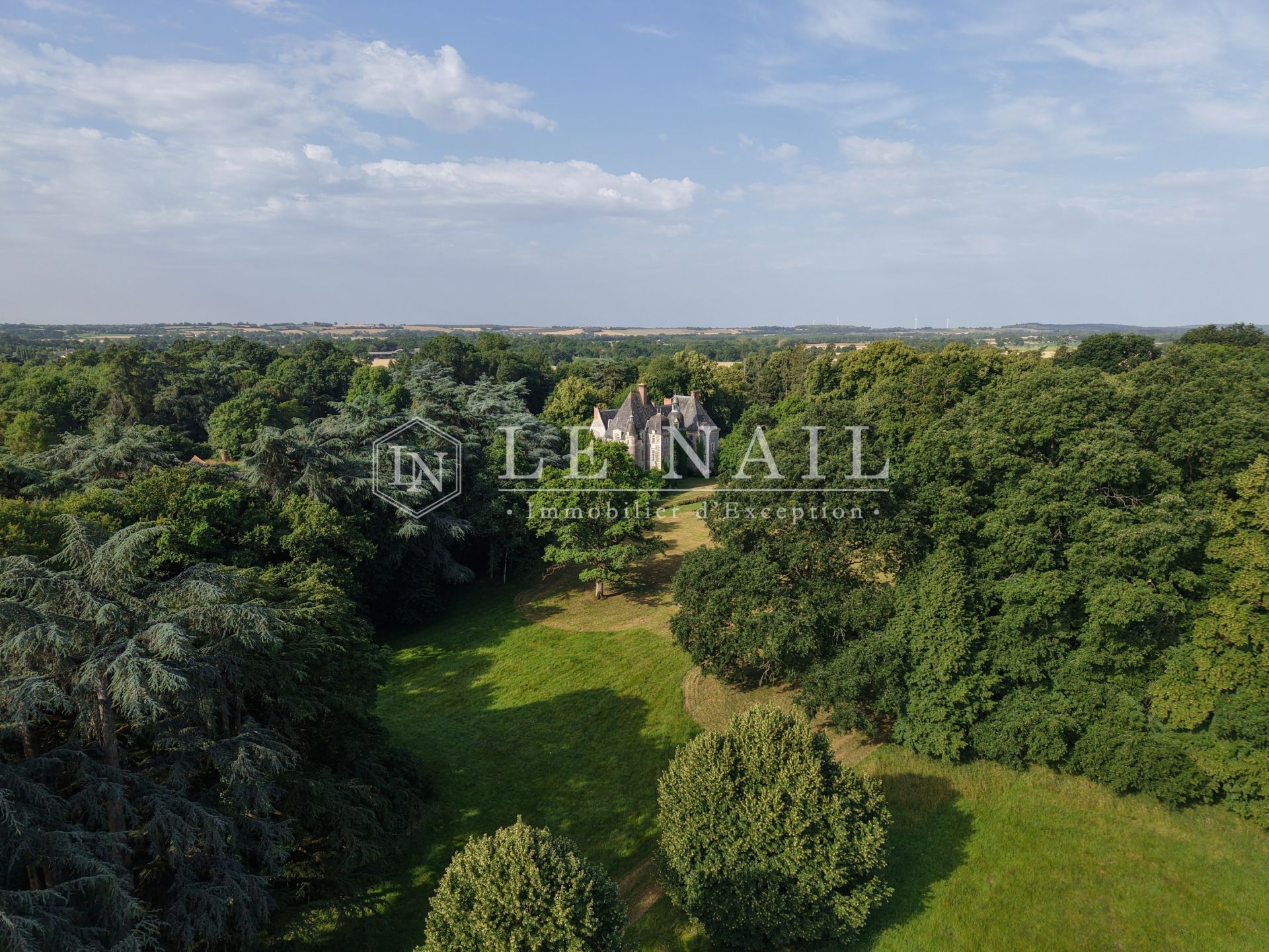 château 20 pièces en vente à LE LION D ANGERS (49220)