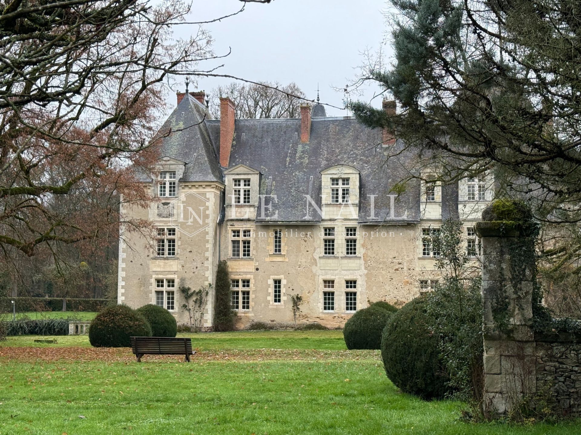 castle 20 rooms for sale on LE LION D ANGERS (49220)