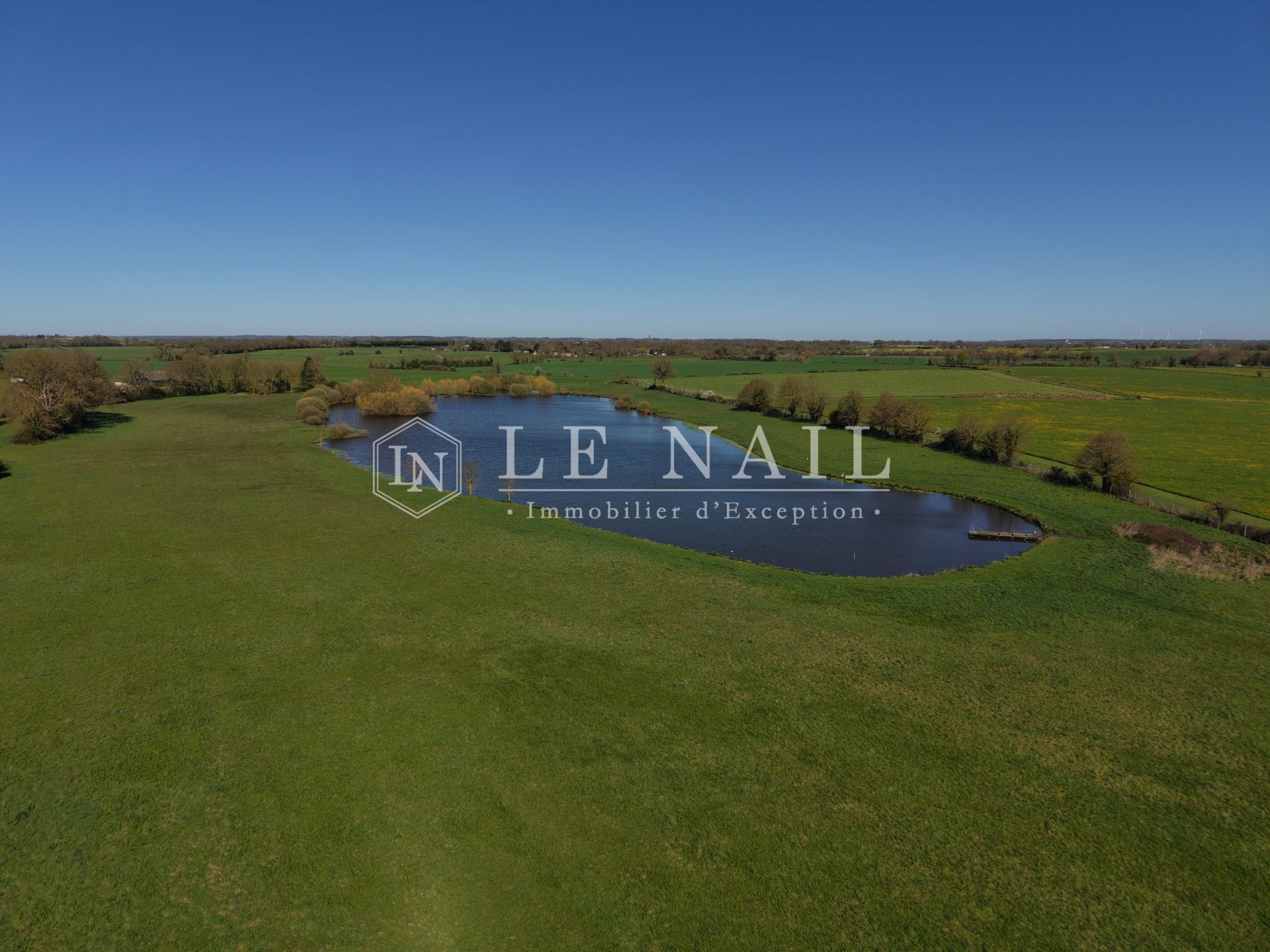 château 20 pièces en vente à LE LION D ANGERS (49220)