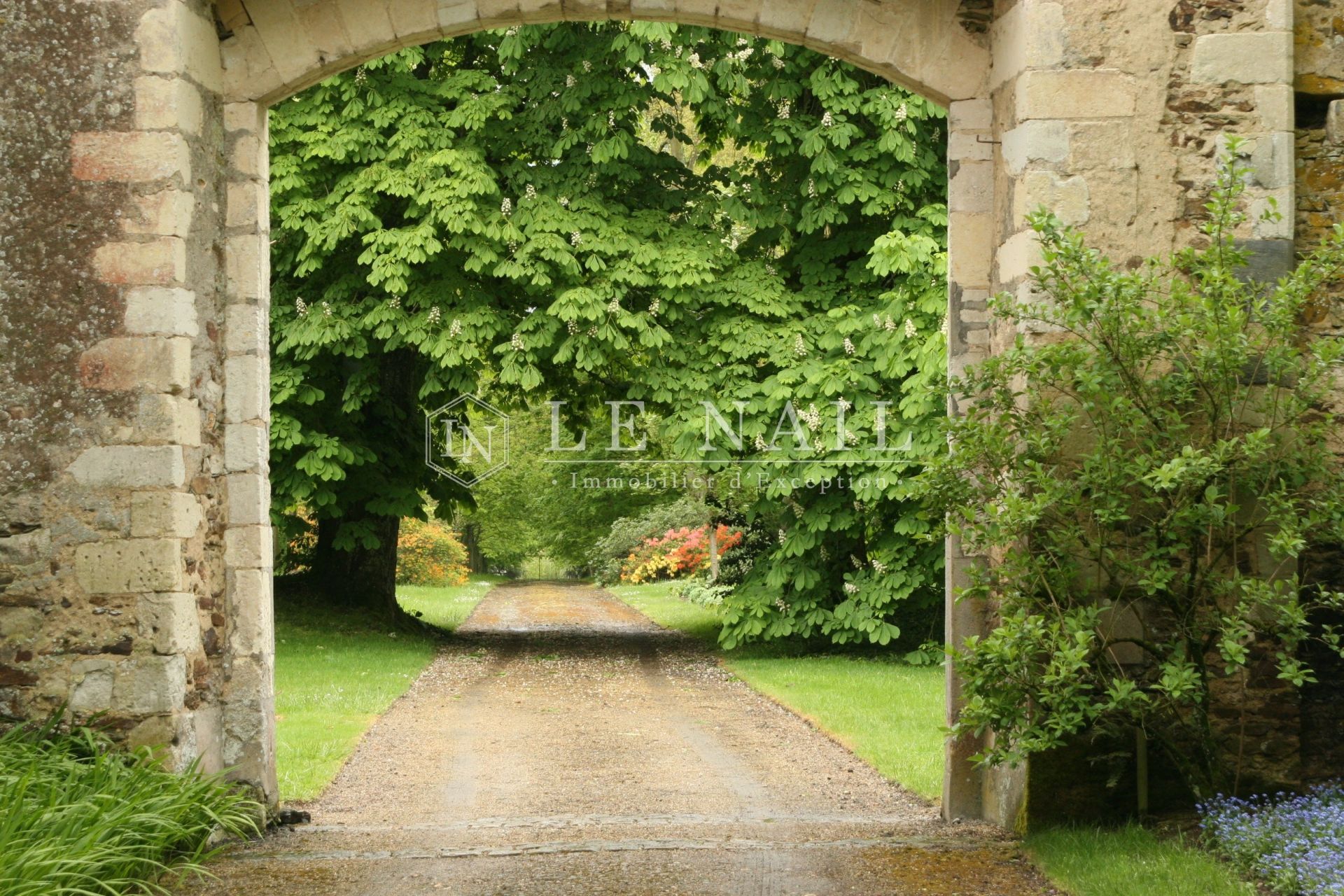 castle 20 rooms for sale on LE LION D ANGERS (49220)