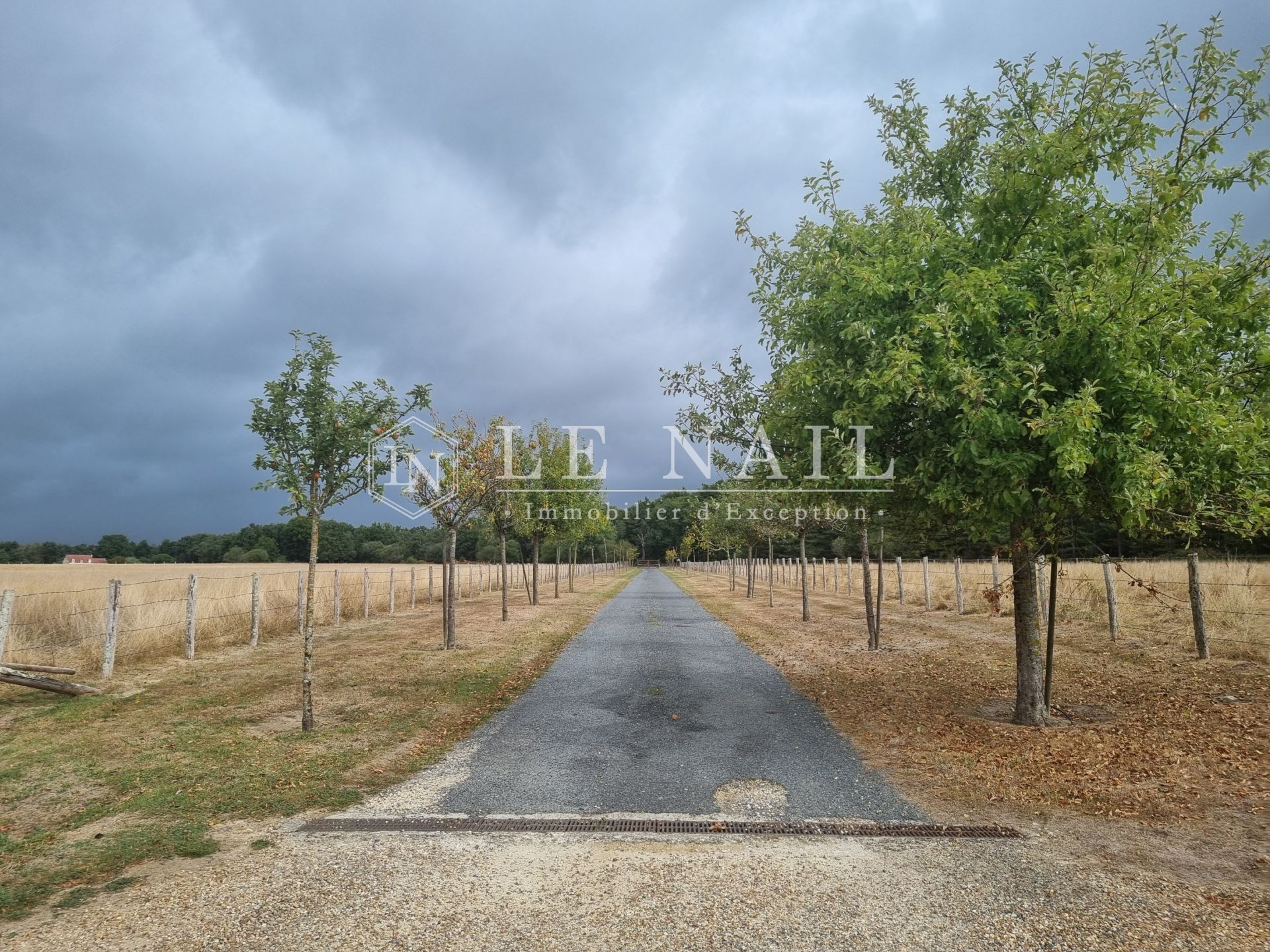 farm complex 15 rooms for sale on TOURS (37000)