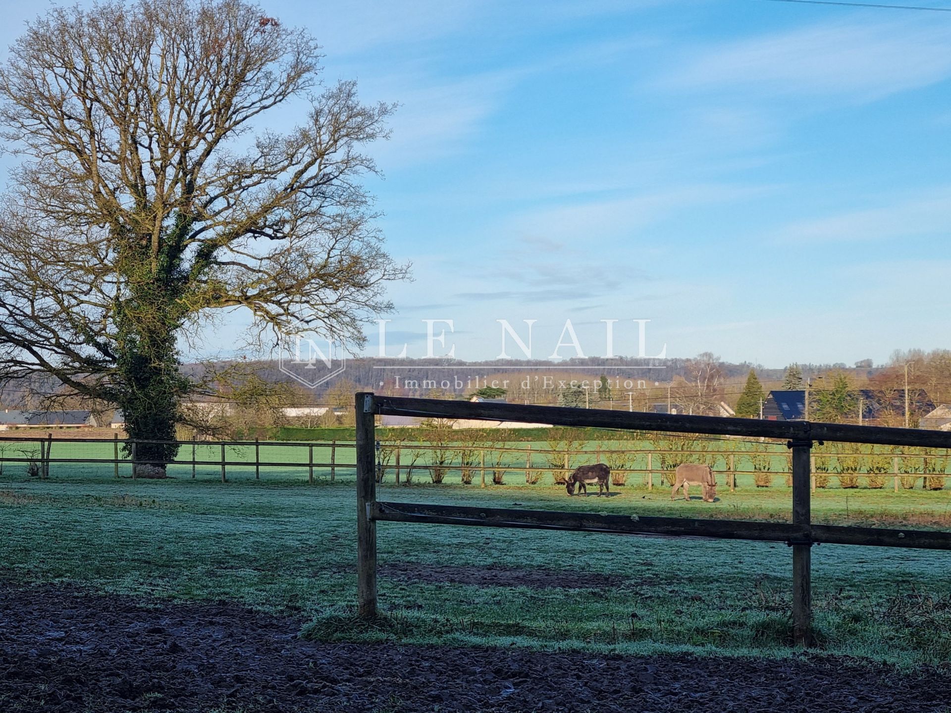 property 10 rooms for sale on LA CHARTRE SUR LE LOIR (72340)