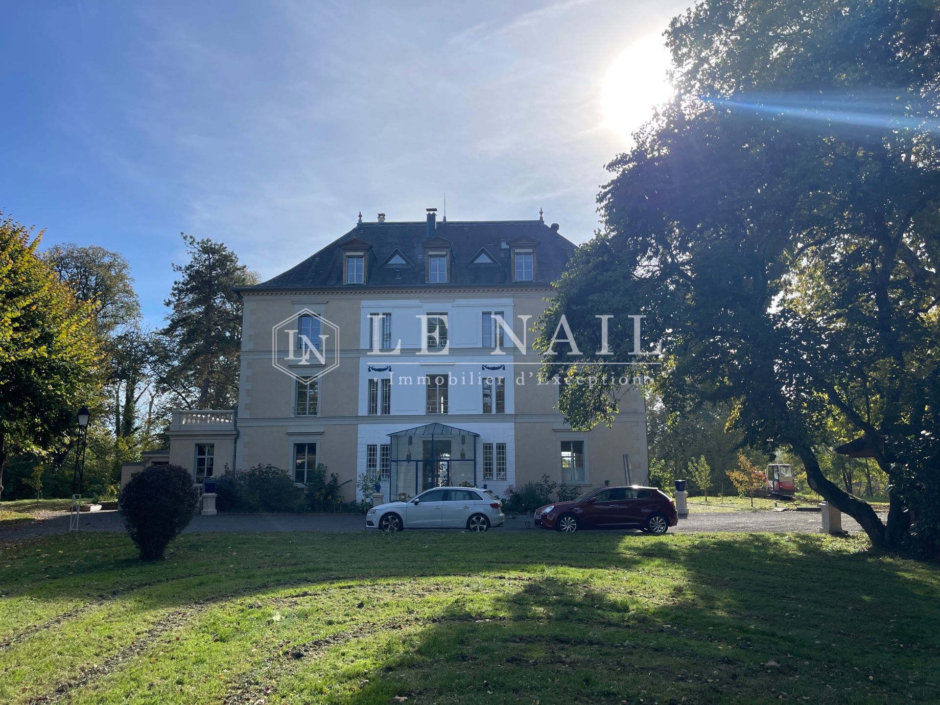 manor house 21 rooms for sale on SENS (89100)