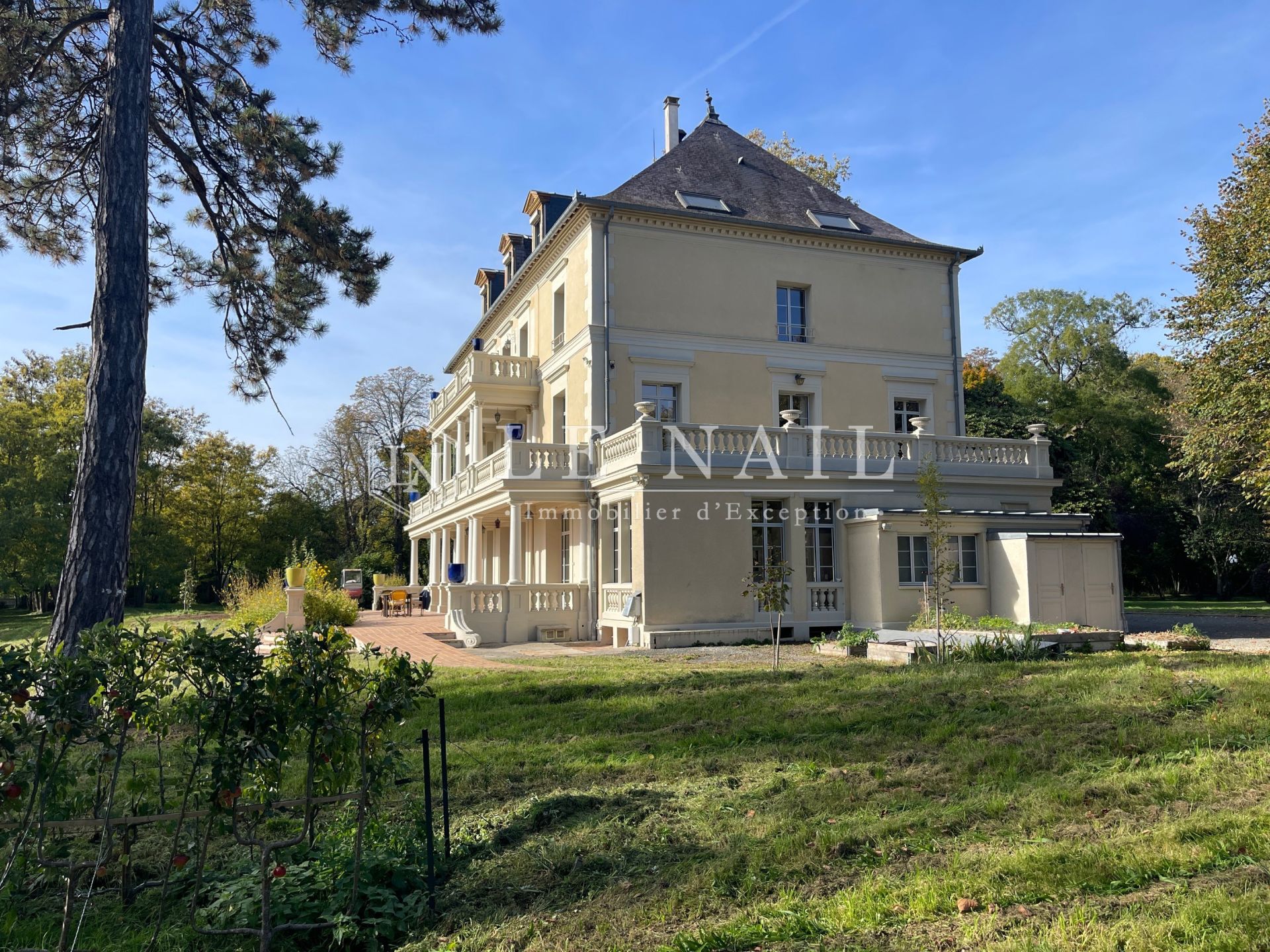 manor house 21 rooms for sale on SENS (89100)