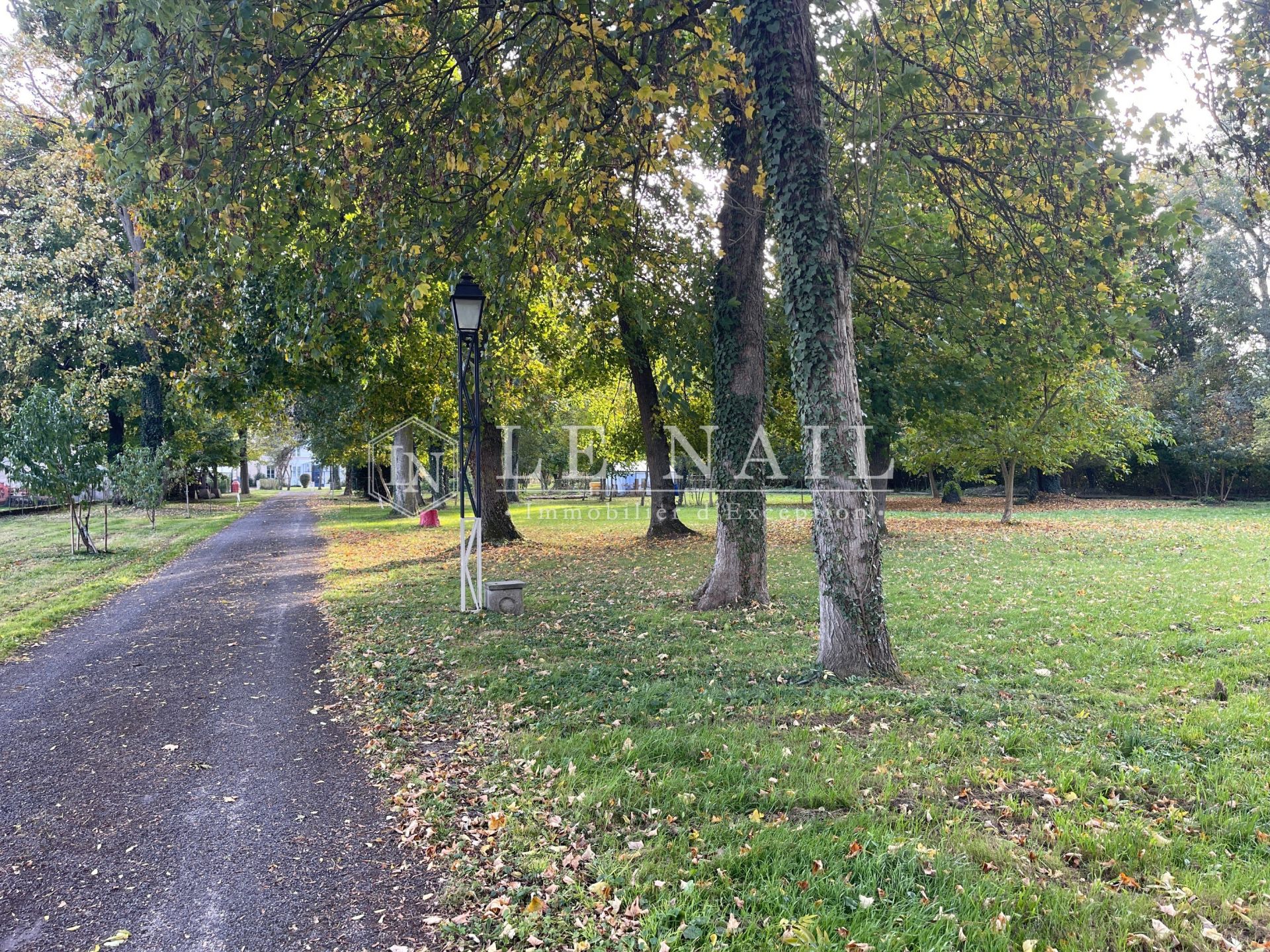 manor house 21 rooms for sale on SENS (89100)