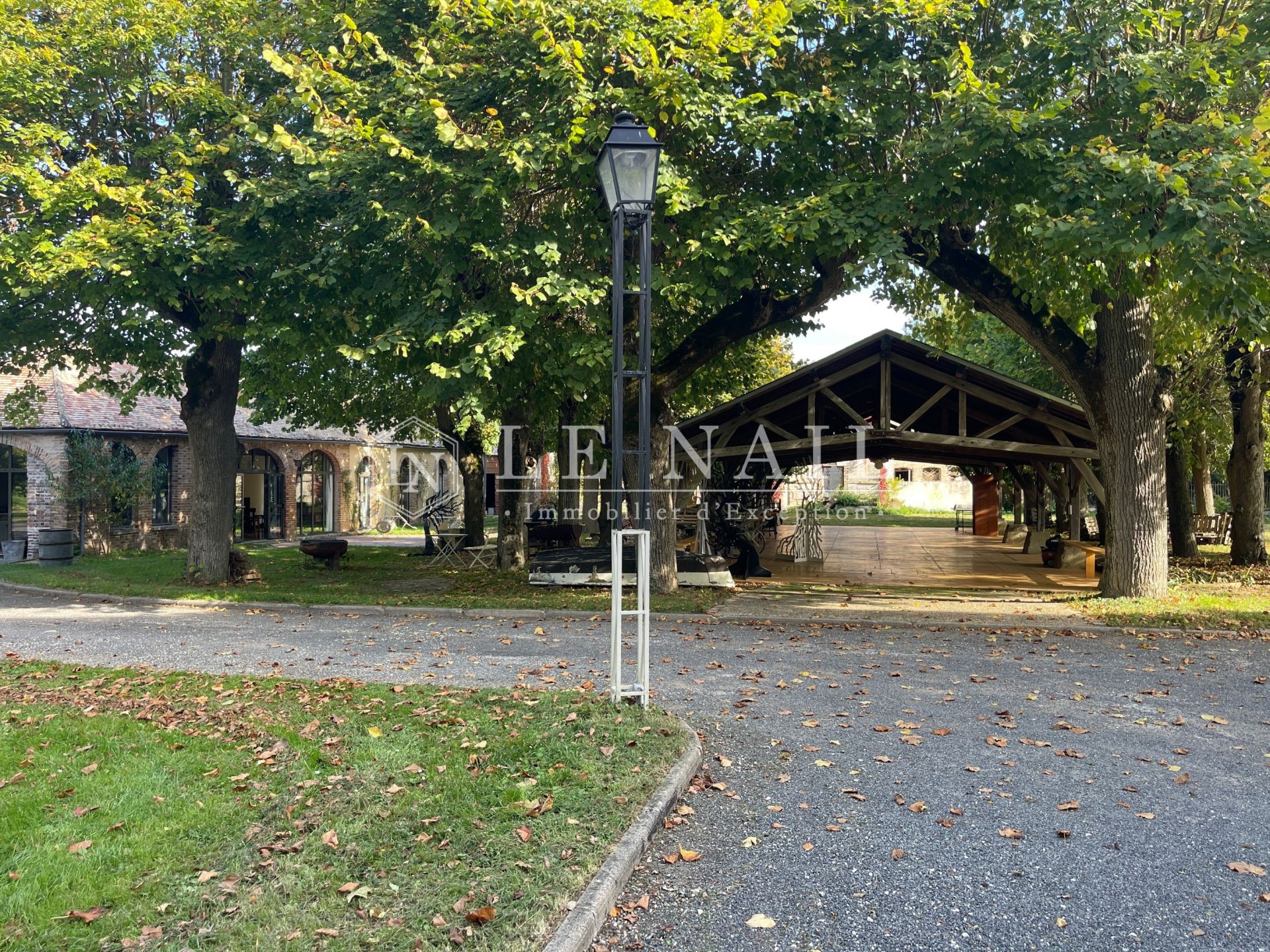 manor house 21 rooms for sale on SENS (89100)