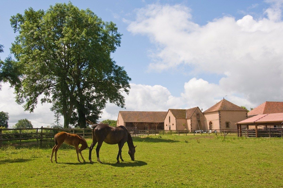 château 26 pièces en vente à MOULINS (03000)