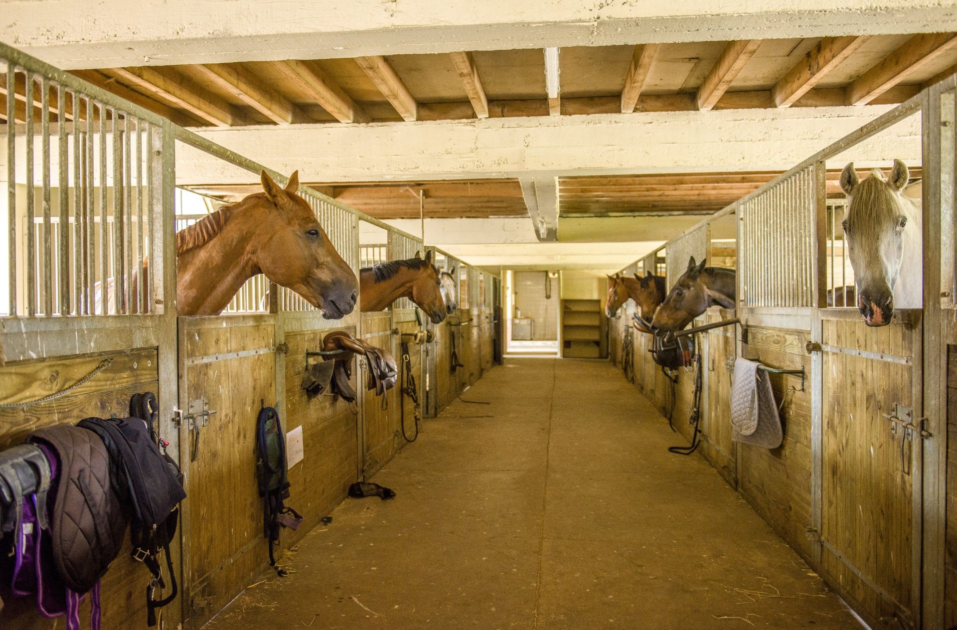 château 26 pièces en vente à MOULINS (03000)