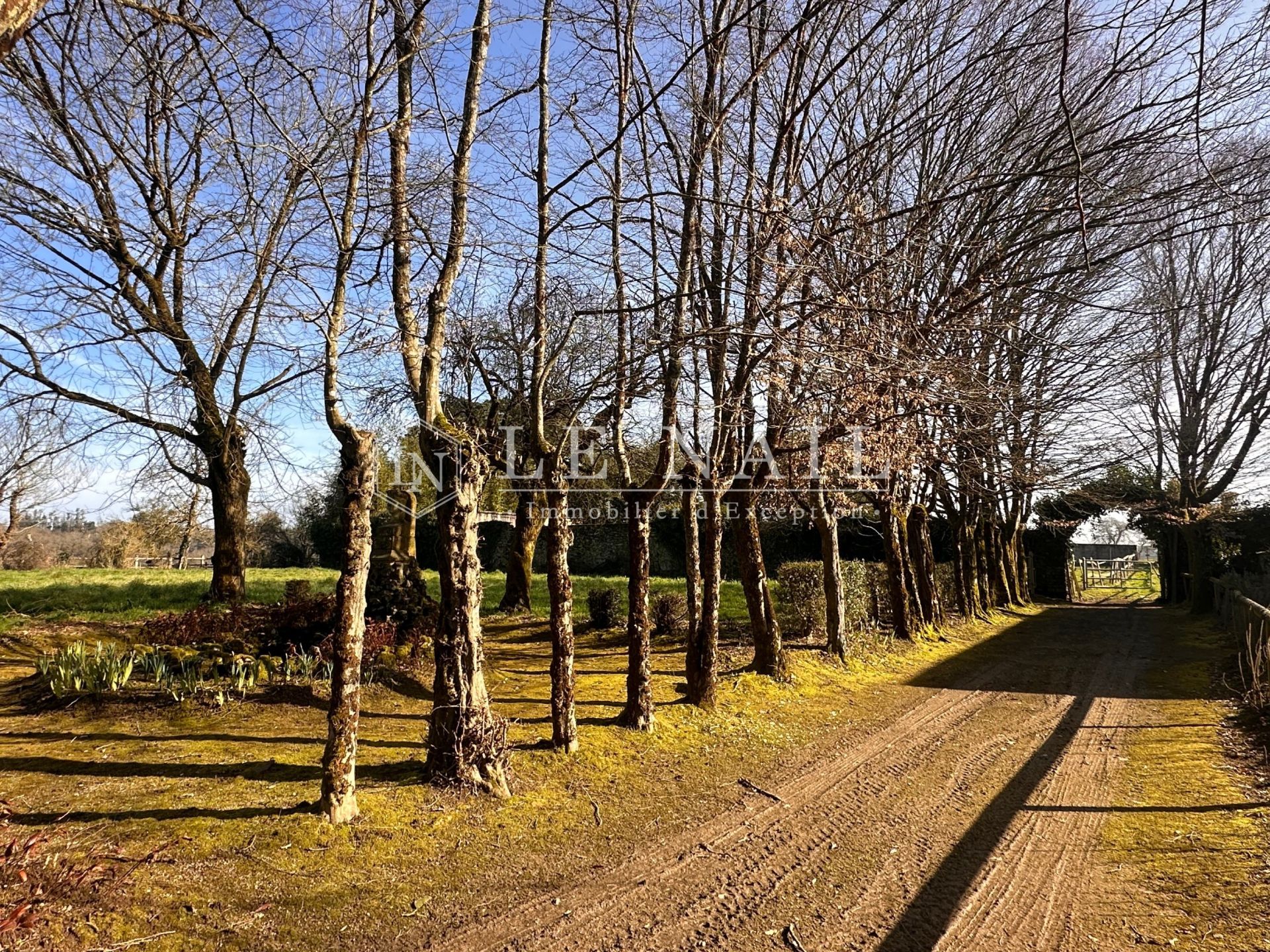 castle 16 rooms for sale on NANTES (44000)