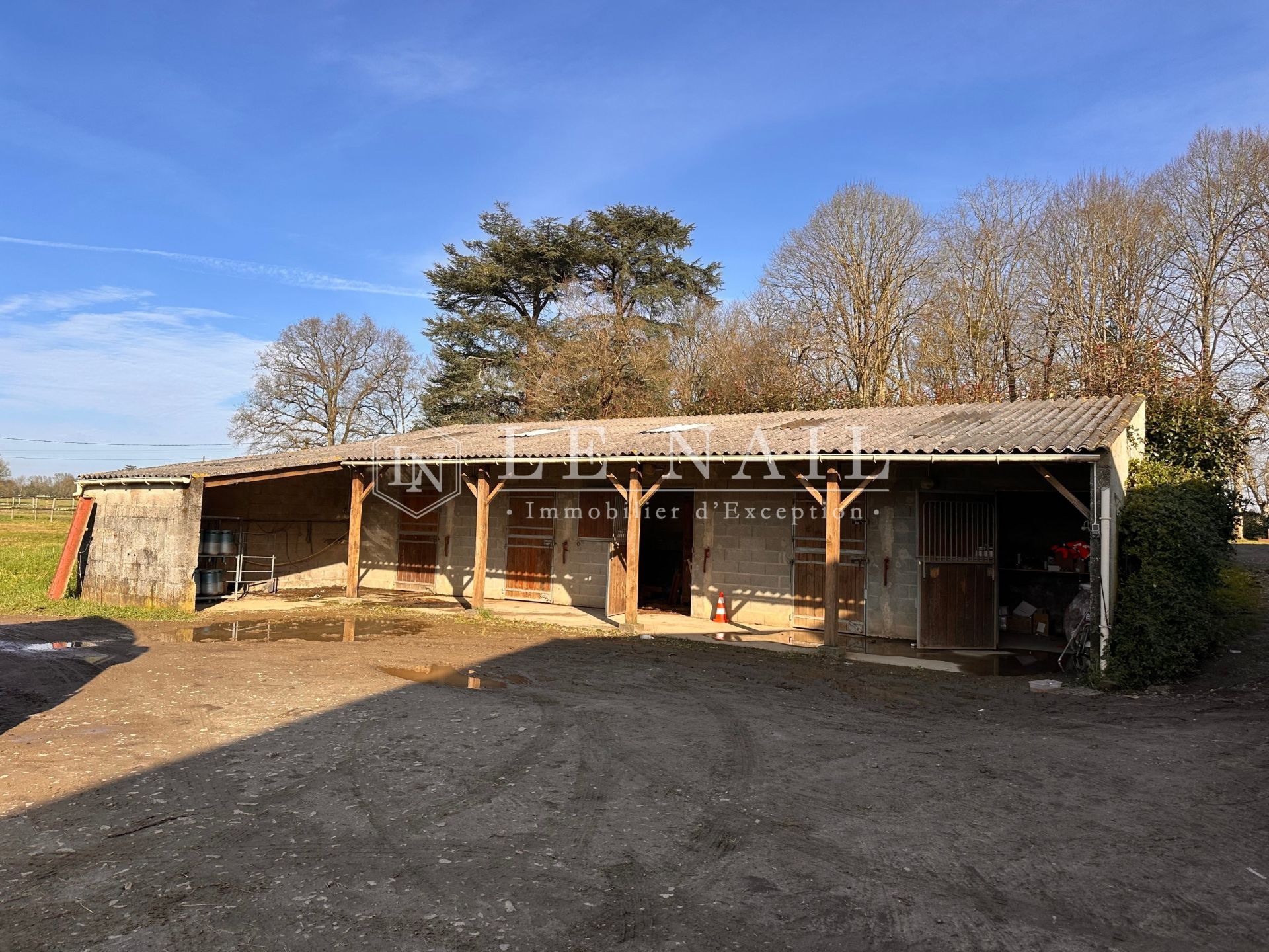 castle 16 rooms for sale on NANTES (44000)