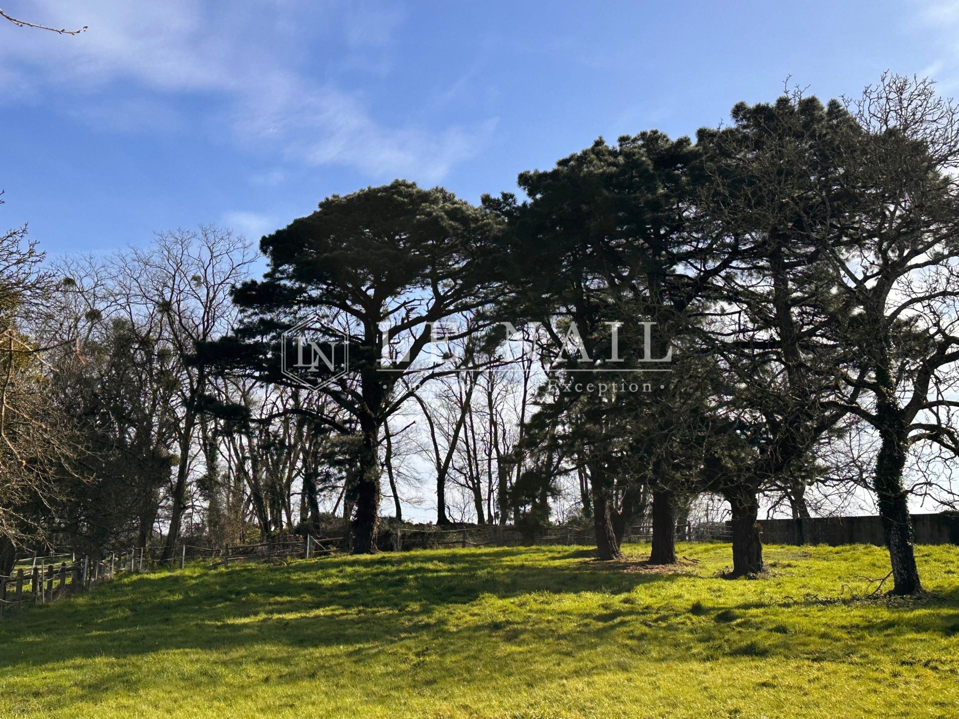 castle 16 rooms for sale on NANTES (44000)