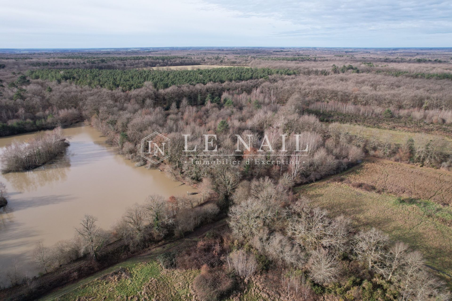 propriété de chasse 5 pièces en vente à SALBRIS (41300)