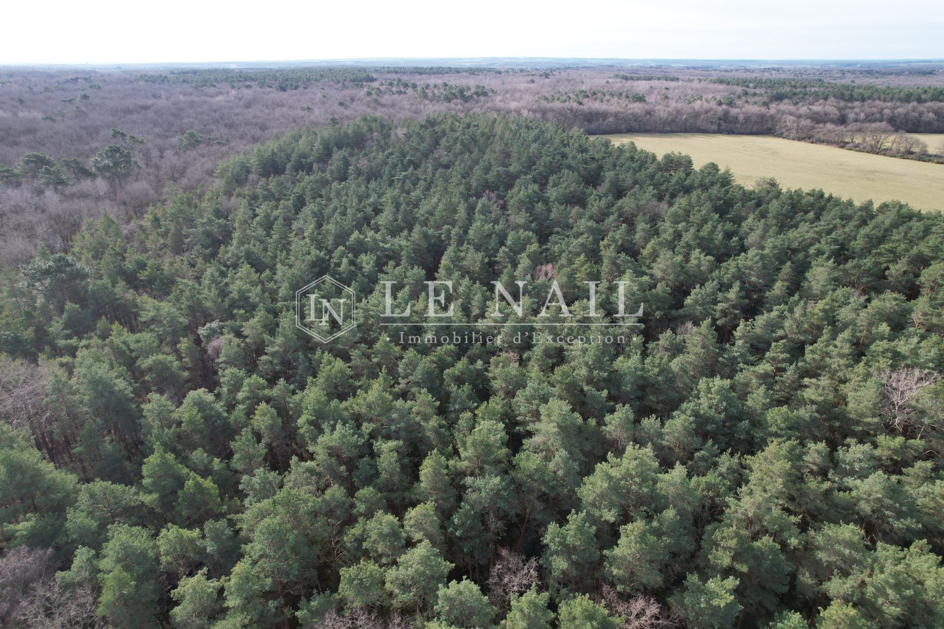 propriété de chasse 5 pièces en vente à SALBRIS (41300)