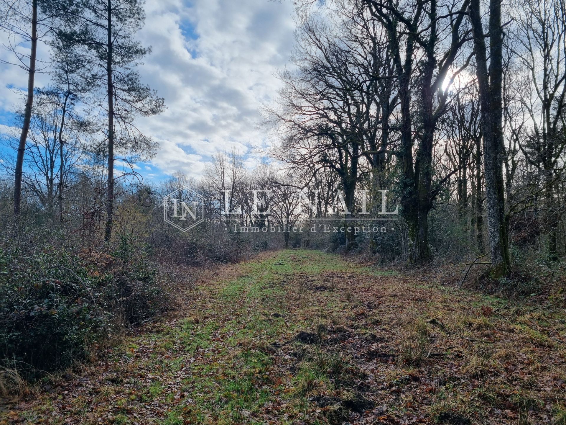 propriété de chasse 5 pièces en vente à SALBRIS (41300)