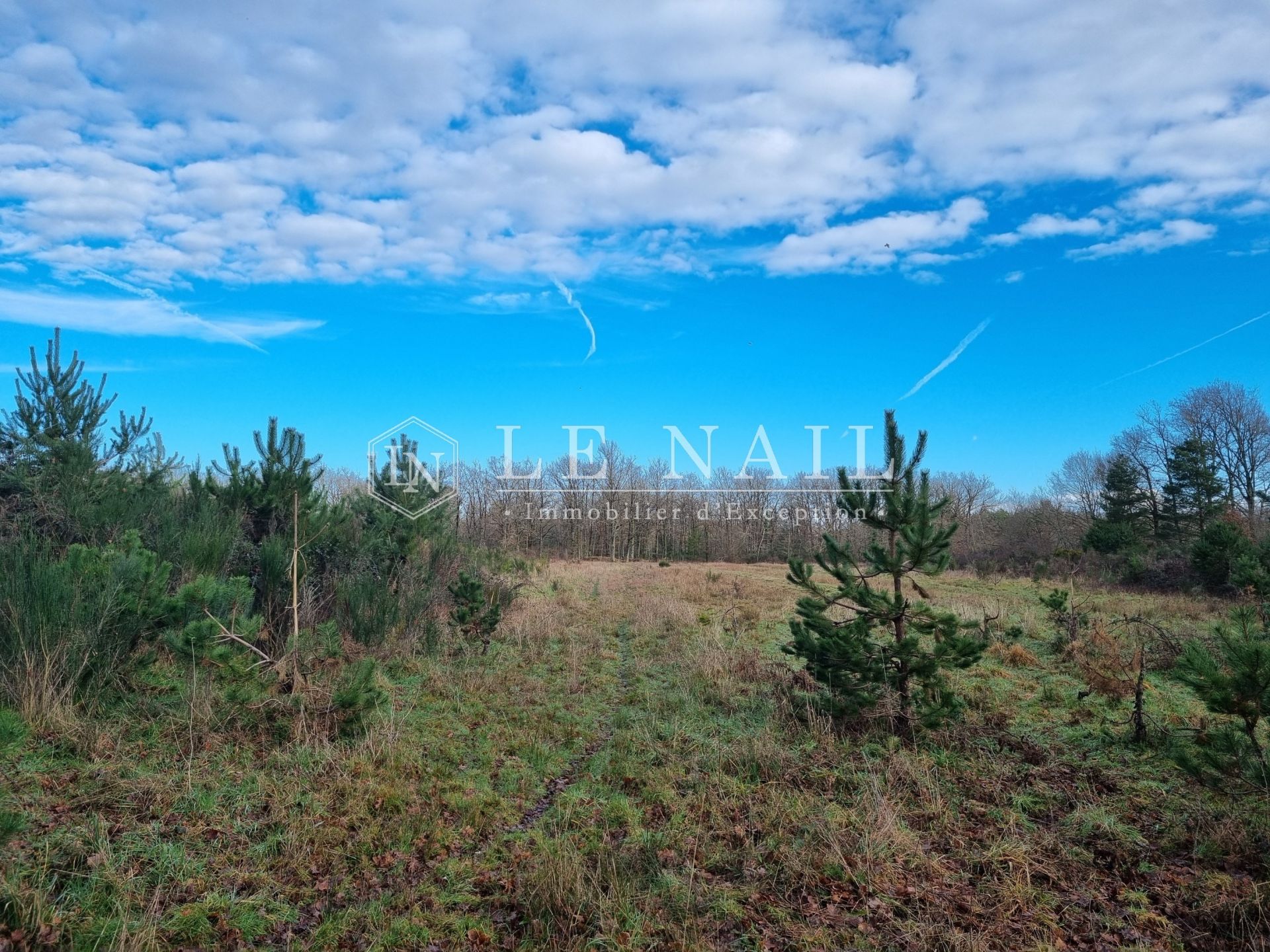 propriété de chasse 5 pièces en vente à SALBRIS (41300)