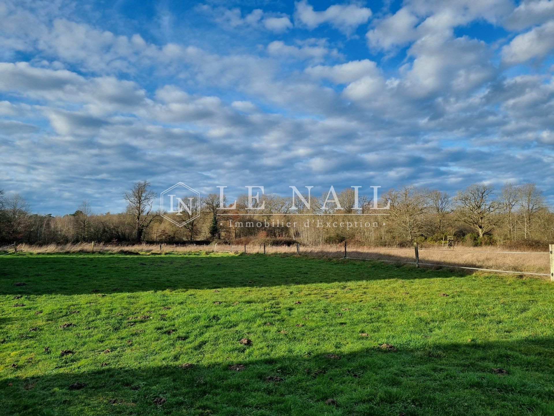 propriété de chasse 5 pièces en vente à SALBRIS (41300)