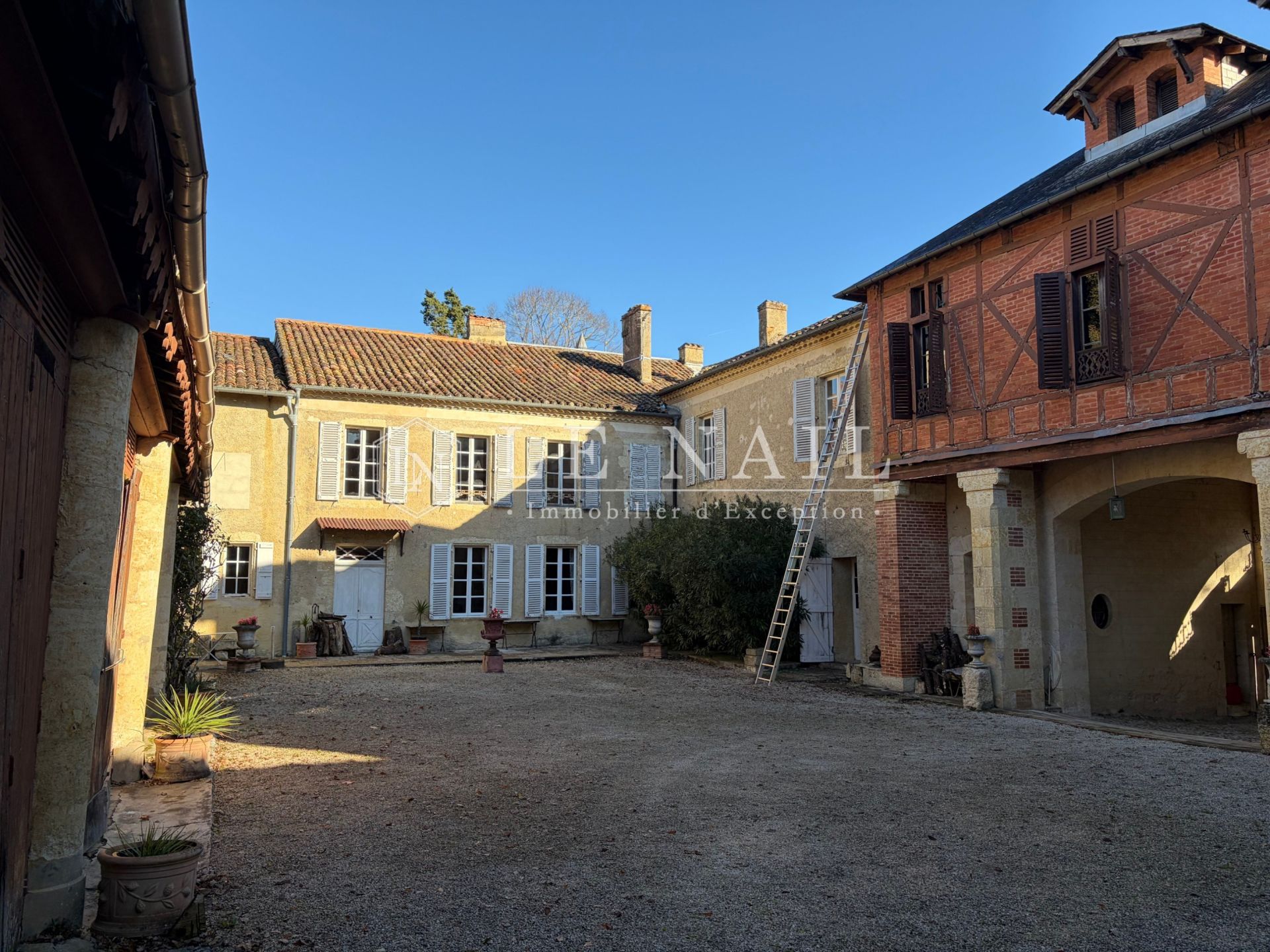 castle 20 rooms for sale on AUCH (32000)