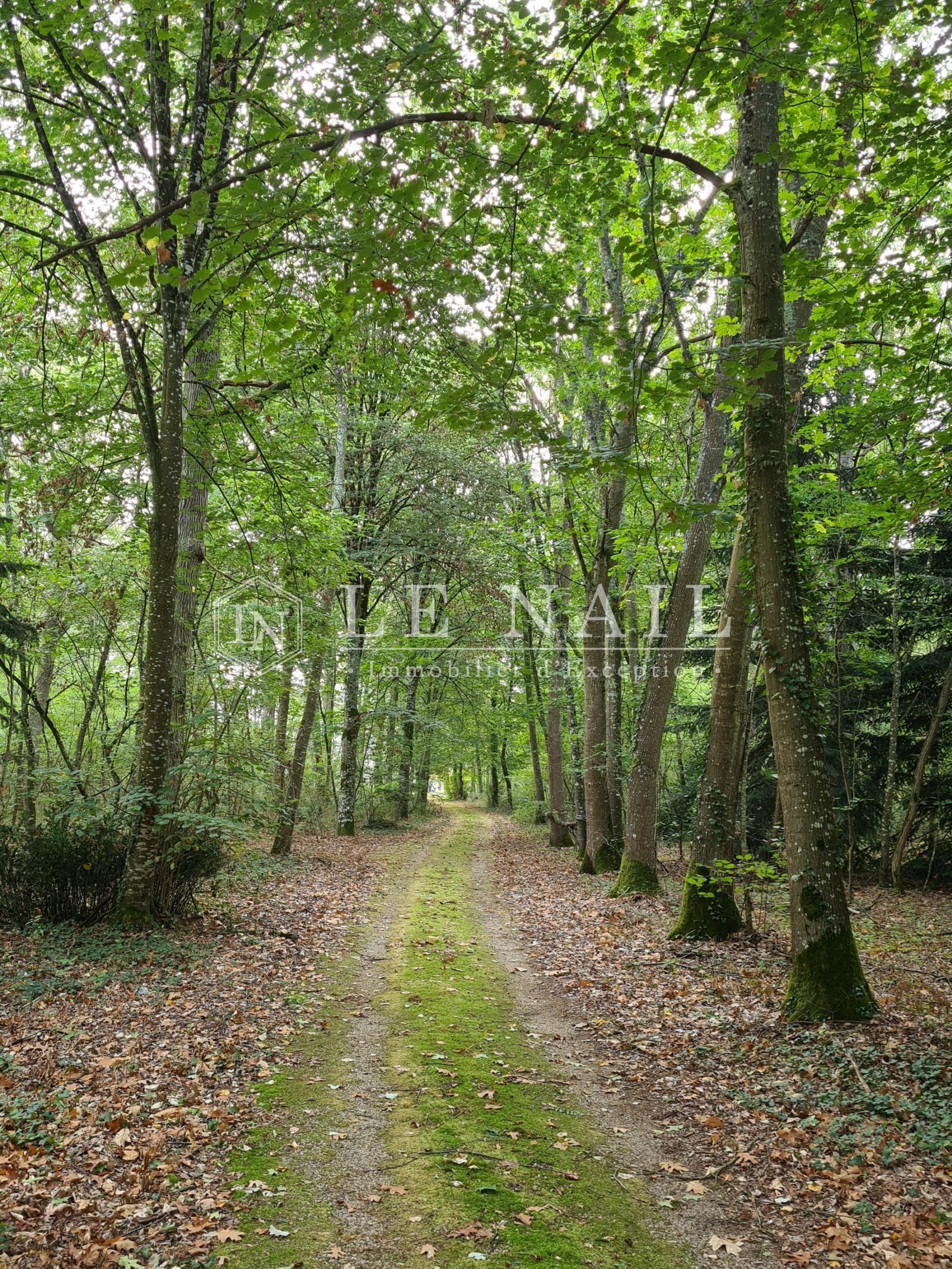 château 18 pièces en vente à ANGERS (49000)