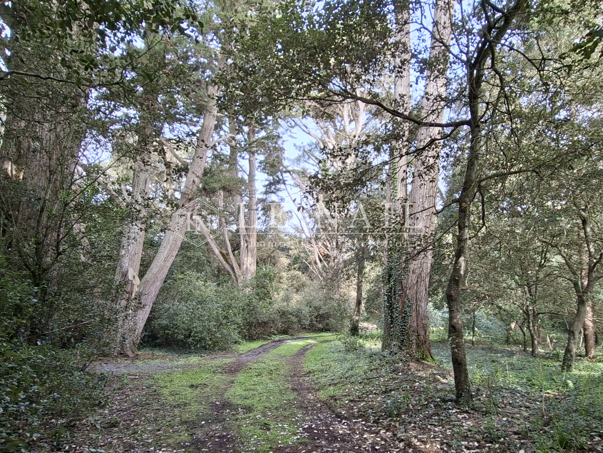 villa 10 pièces en vente à NOIRMOUTIER EN L ILE (85330)