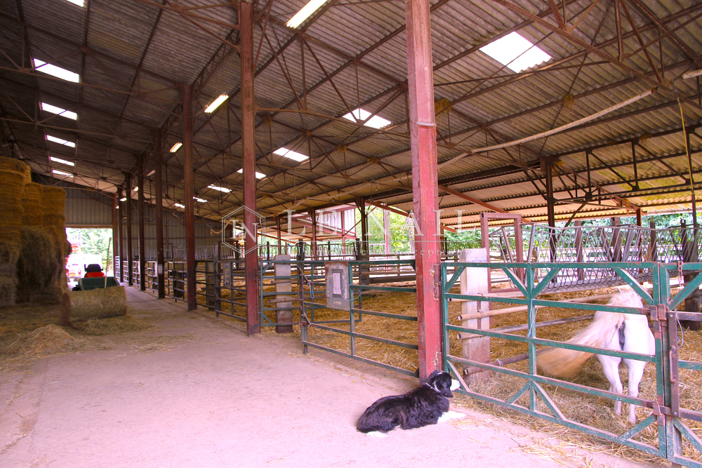 propriété 7 pièces en vente à CHAOURCE (10210)