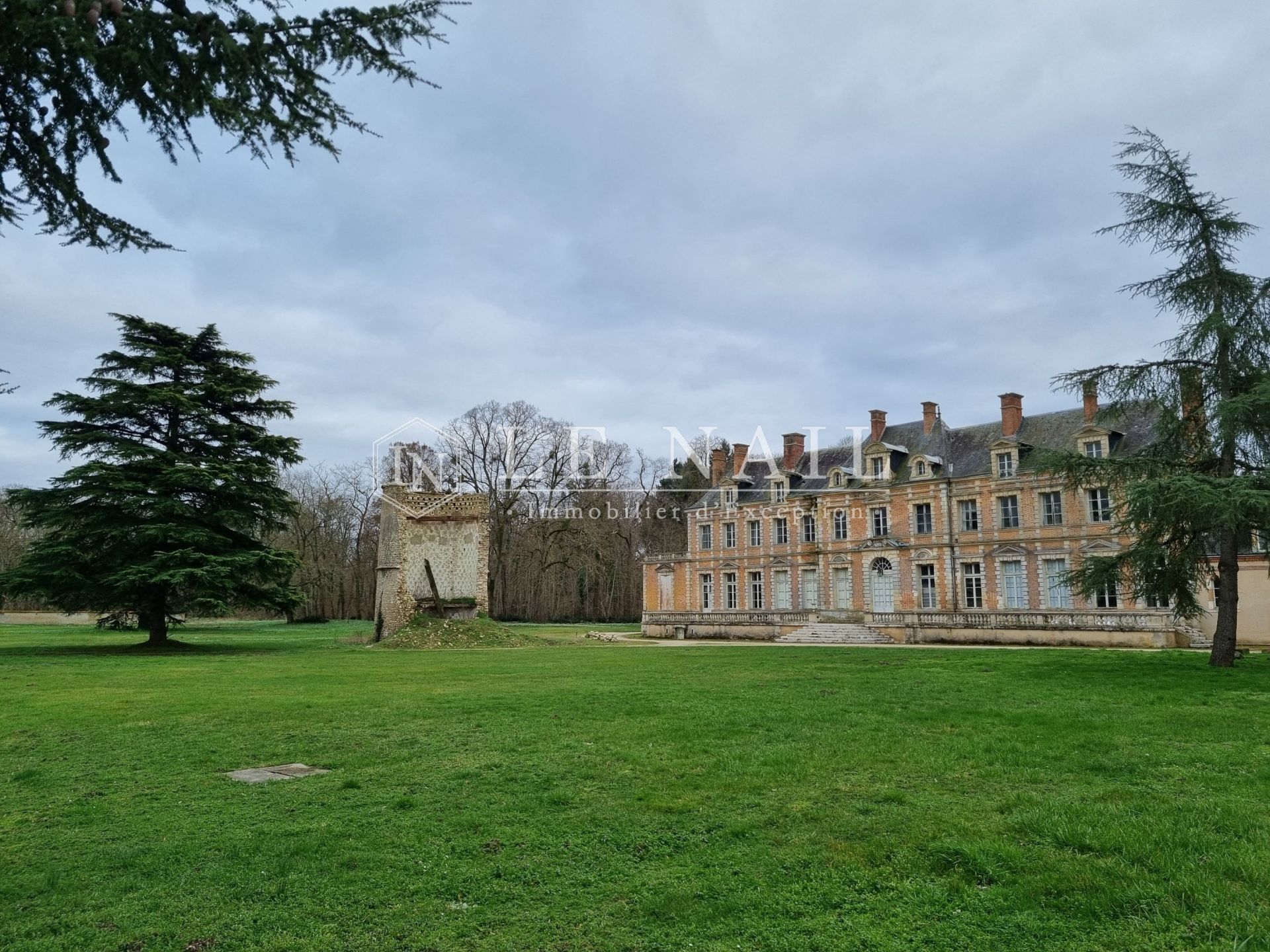 castle 71 rooms for sale on ORLEANS (45000)