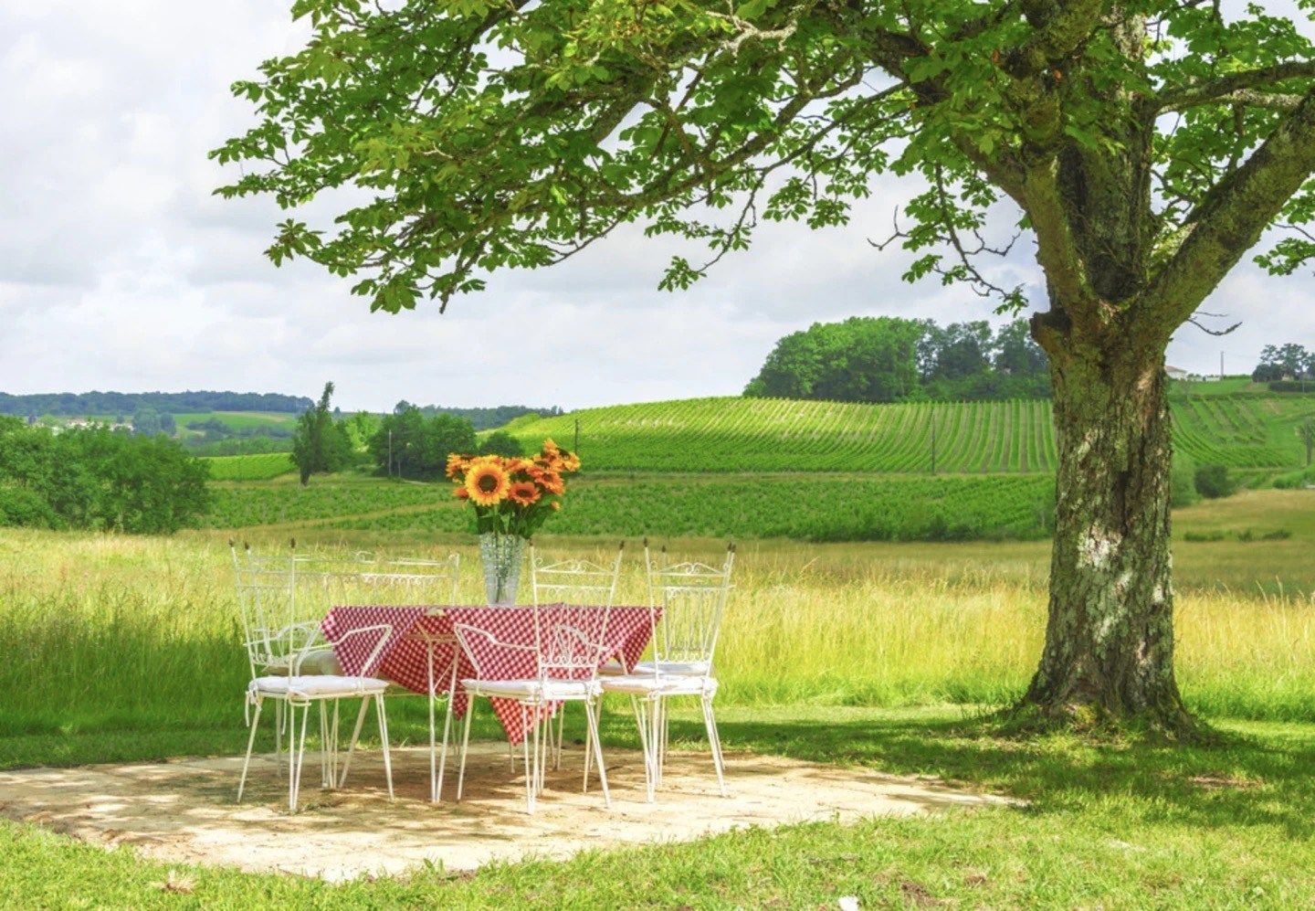 manor house 10 rooms for sale on BERGERAC (24100)