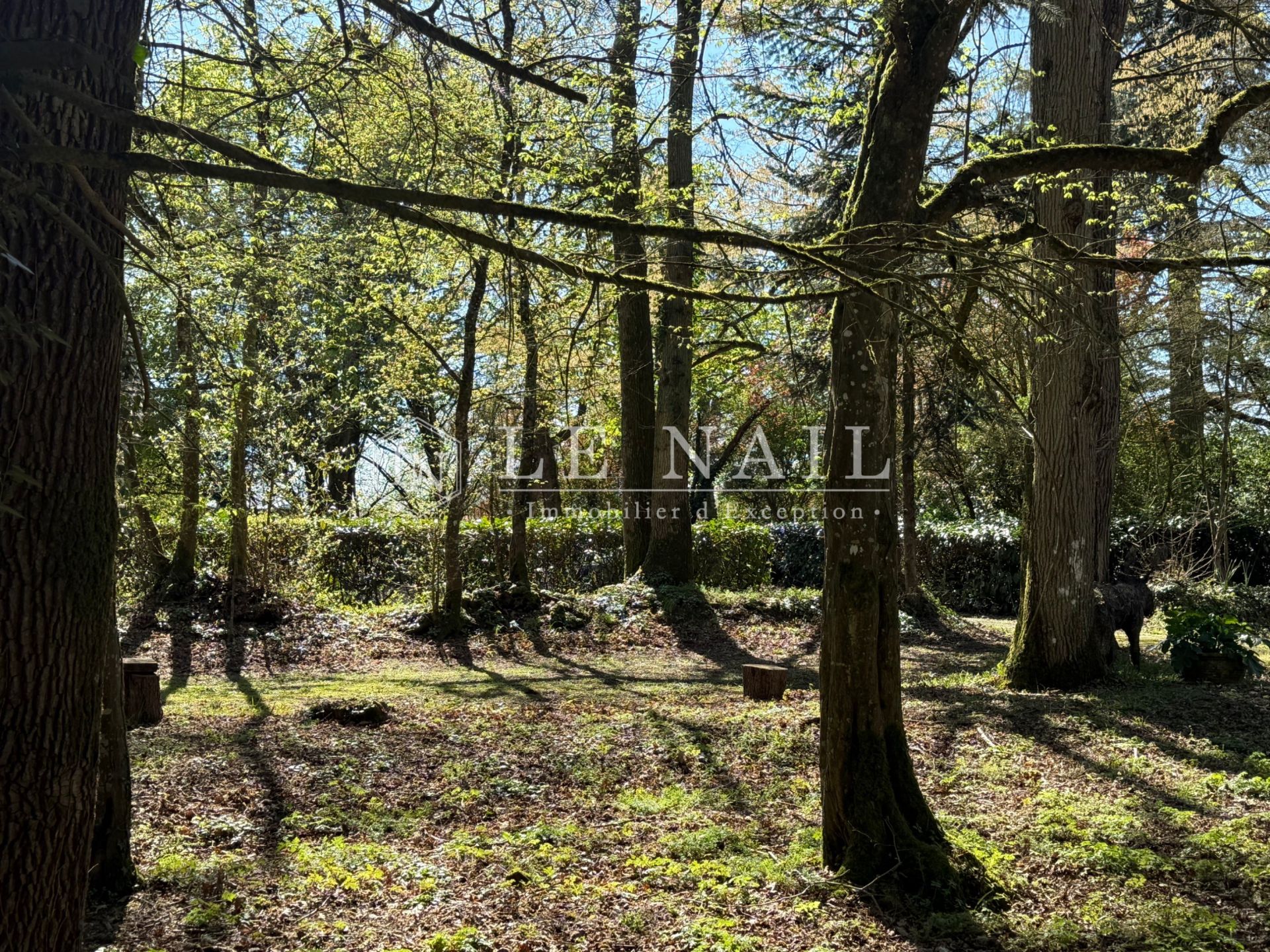 property 8 rooms for sale on INGRANDES LE FRESNE SUR LOIRE (49123)