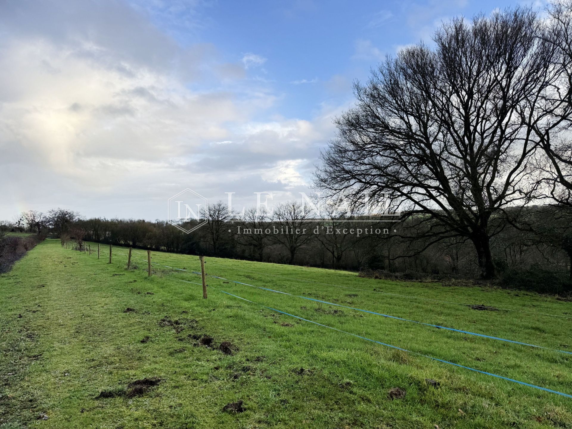 propriété 8 pièces en vente à INGRANDES LE FRESNE SUR LOIRE (49123)