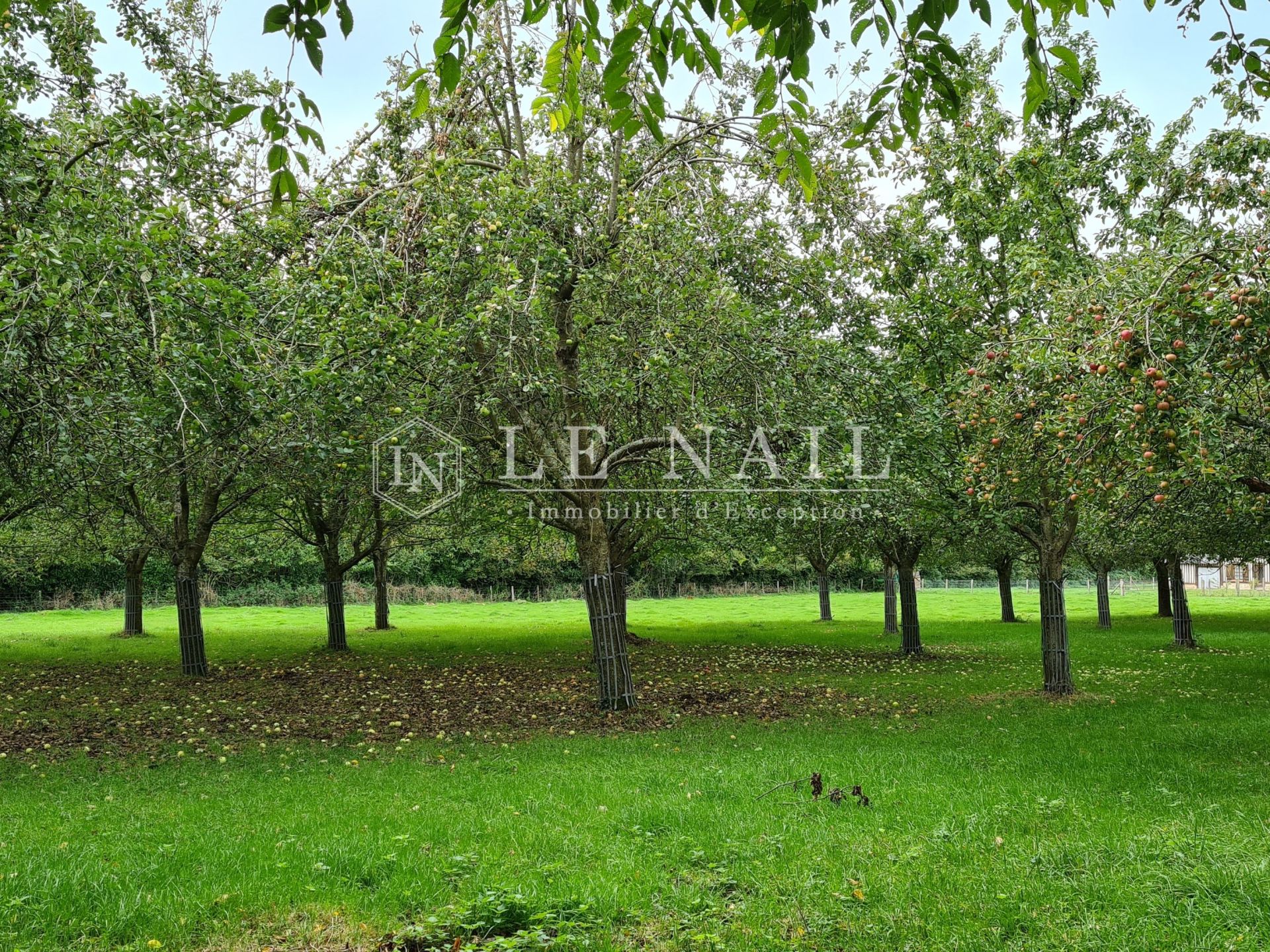 manor house 16 rooms for sale on DEAUVILLE (14800)